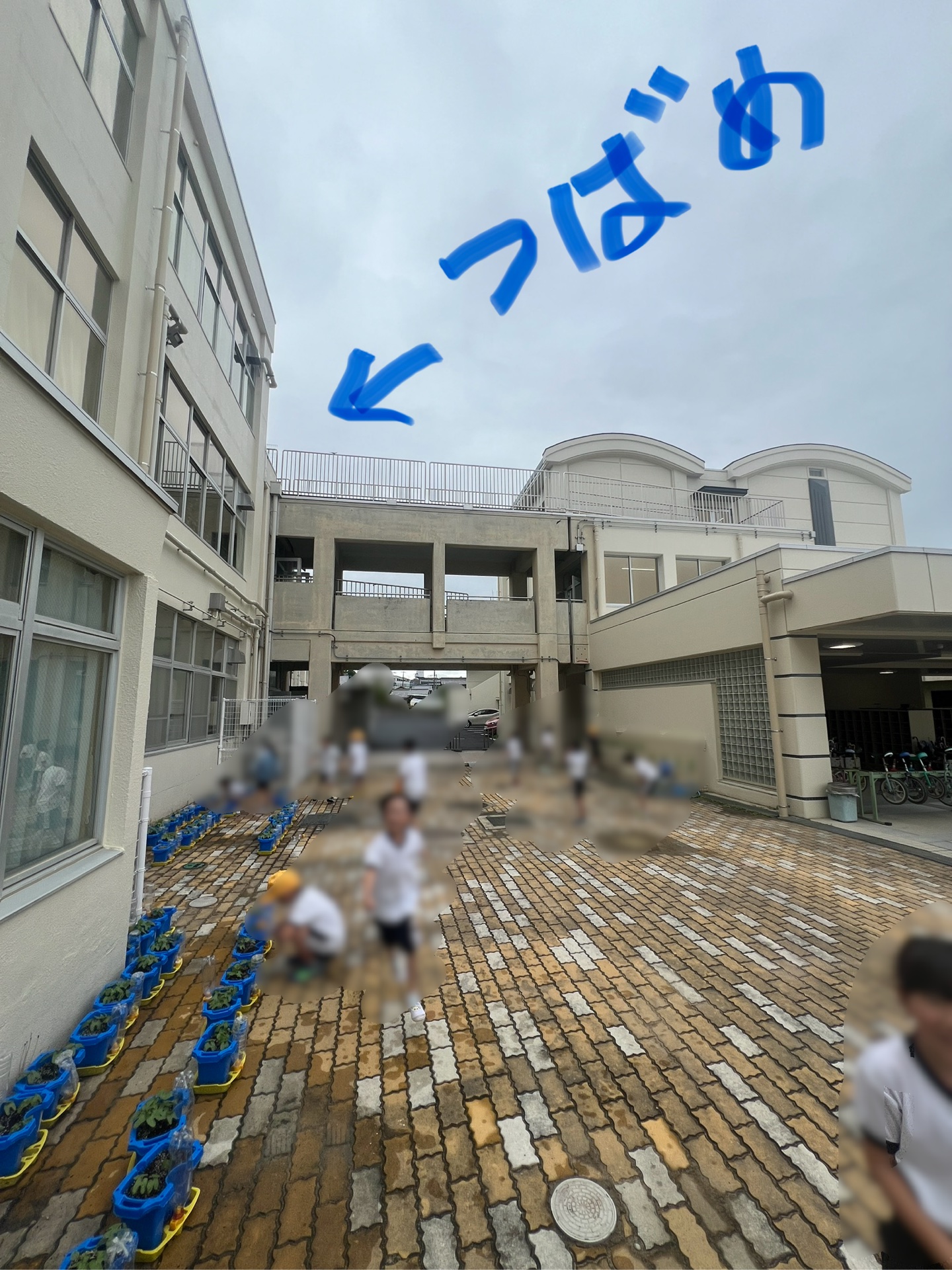 つばめに大興奮、何もしやしないのに、逃げ惑う一年生(笑)