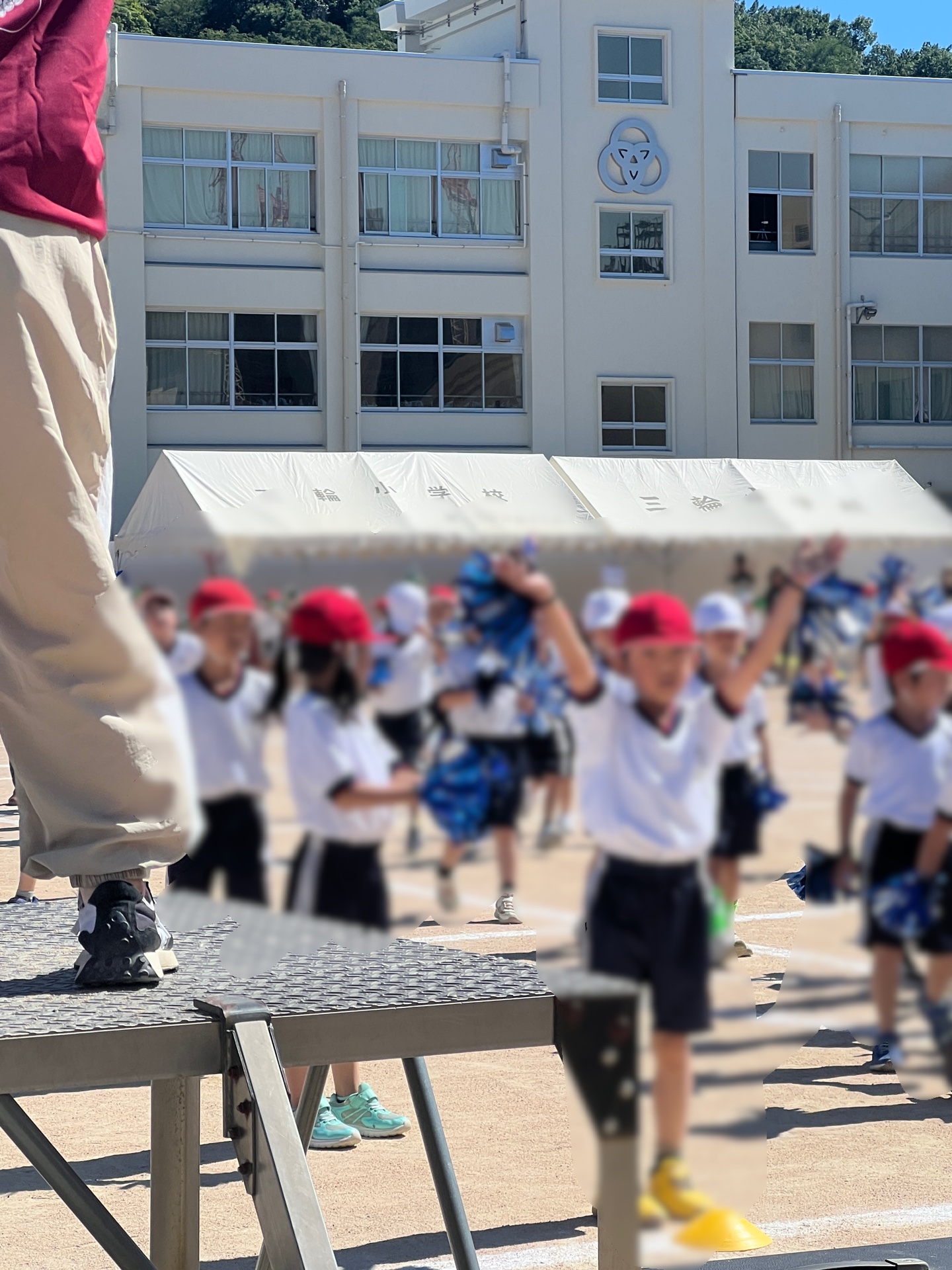 のびやかですね