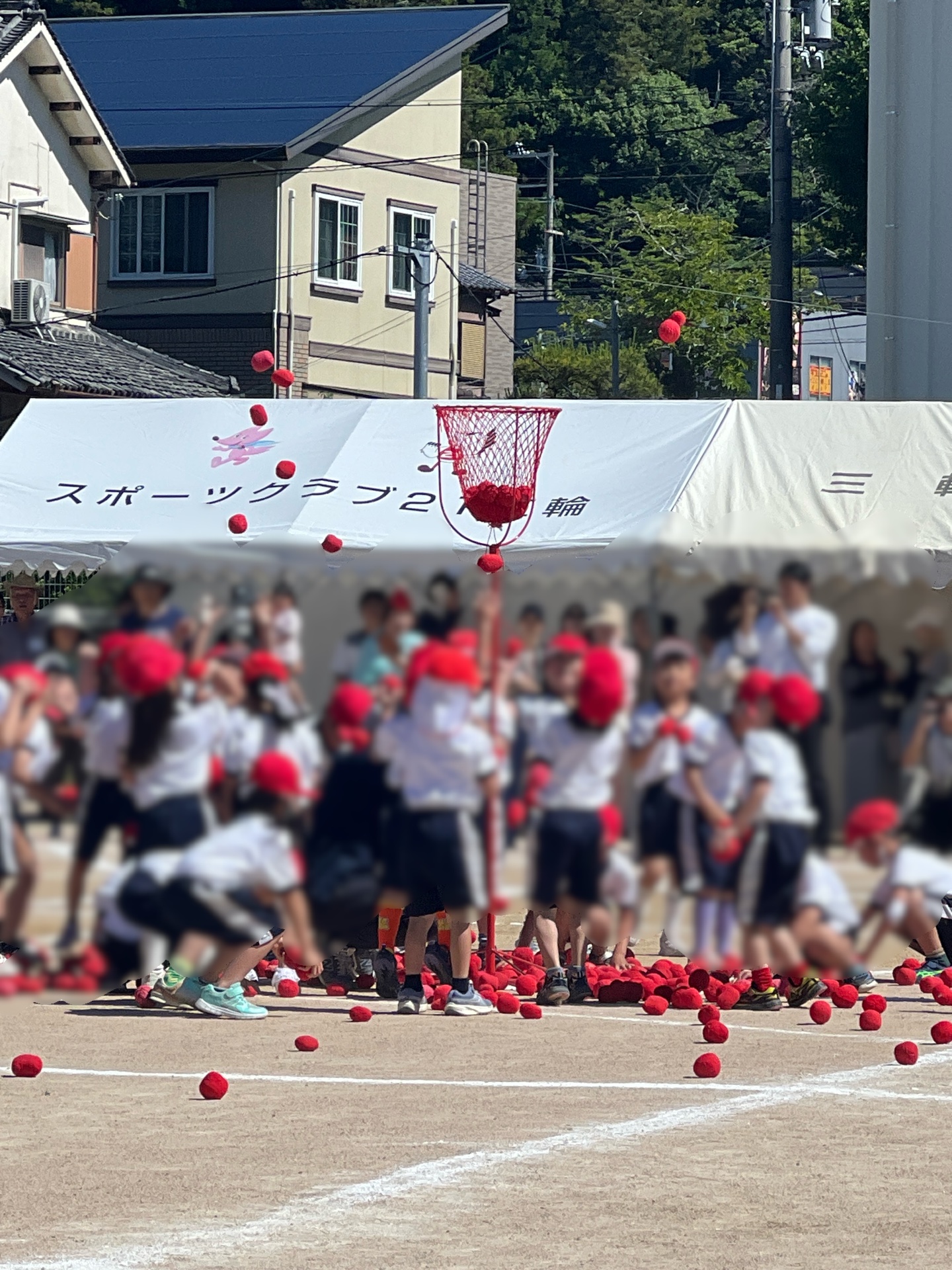 赤勝て、たまいれ