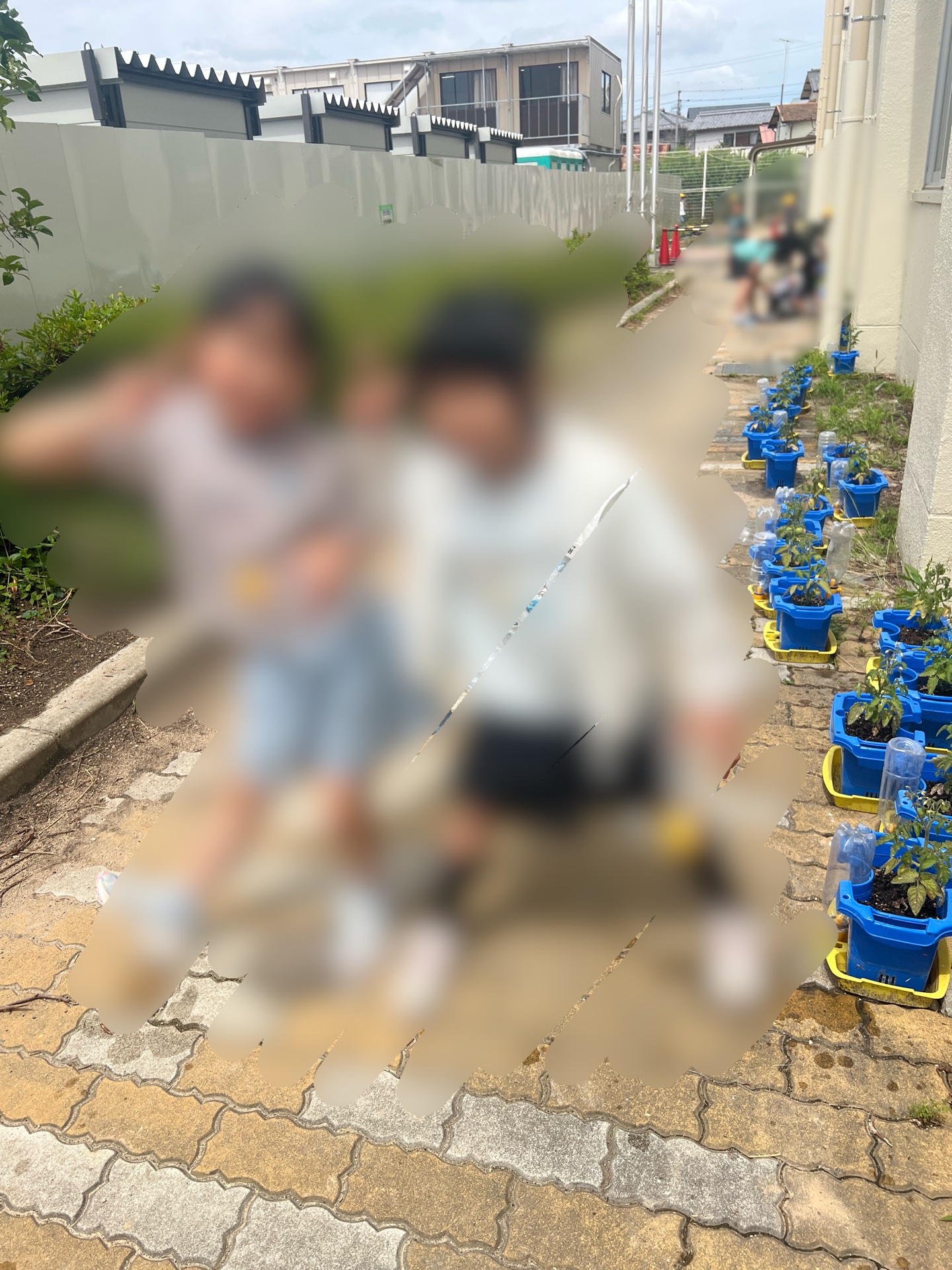 トマトが大きくなってる