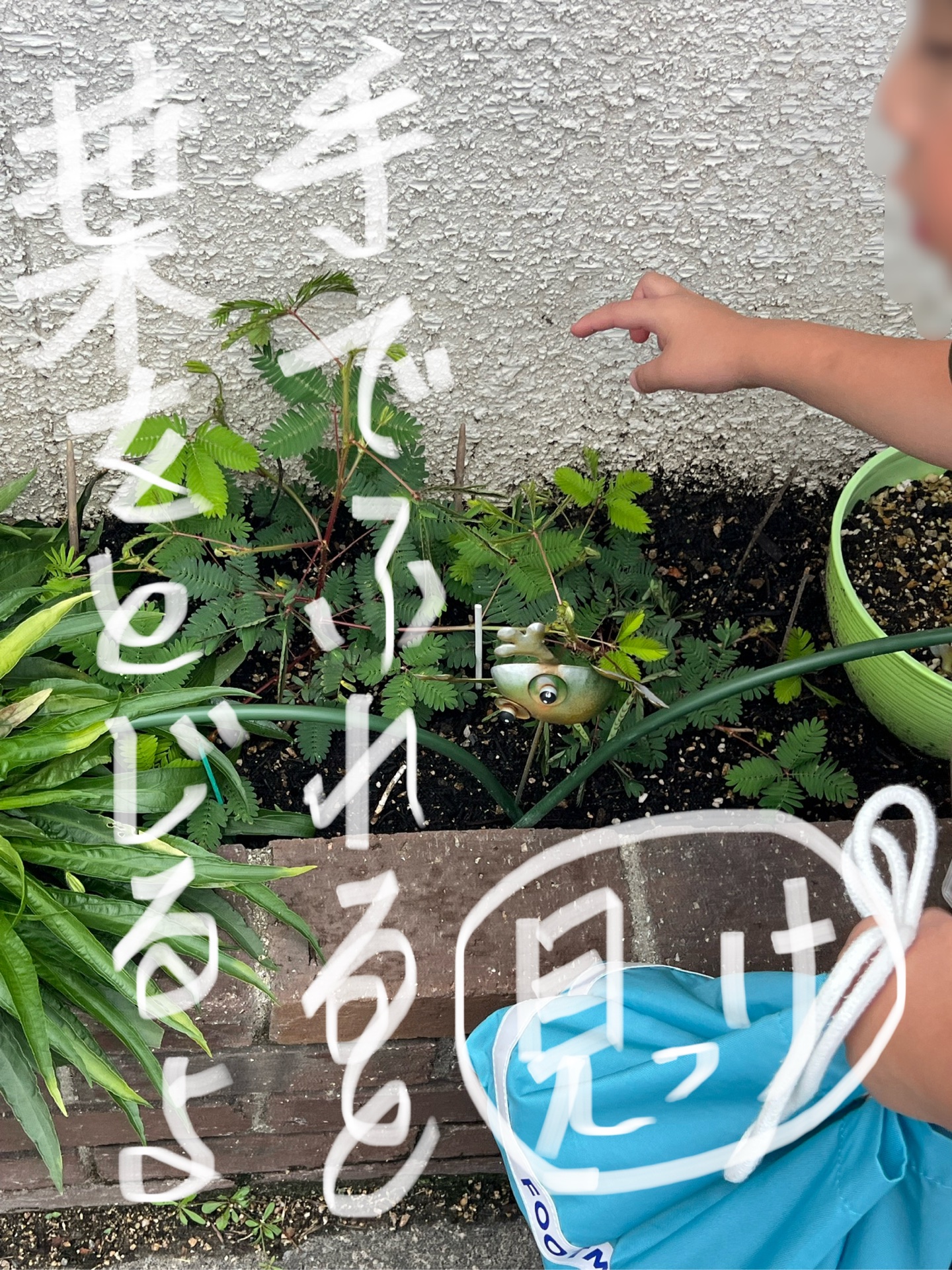プールの帰りに見つけたよう