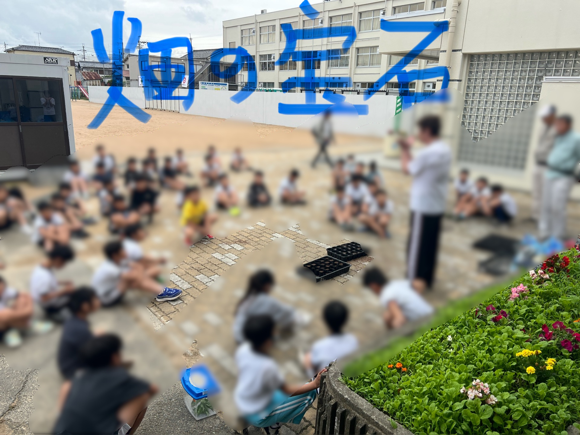 畑の宝石