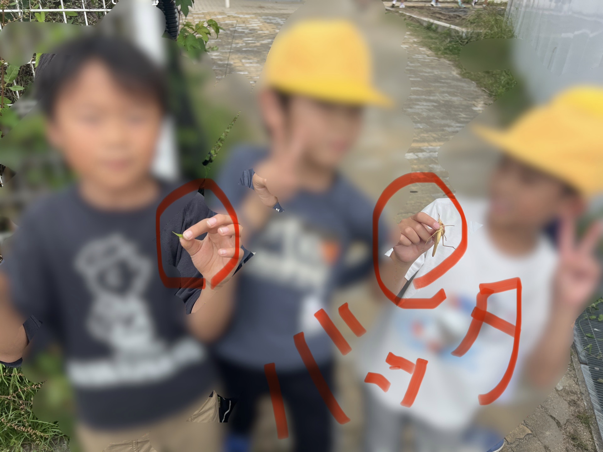 運動場の隅っこでバッタを見つける