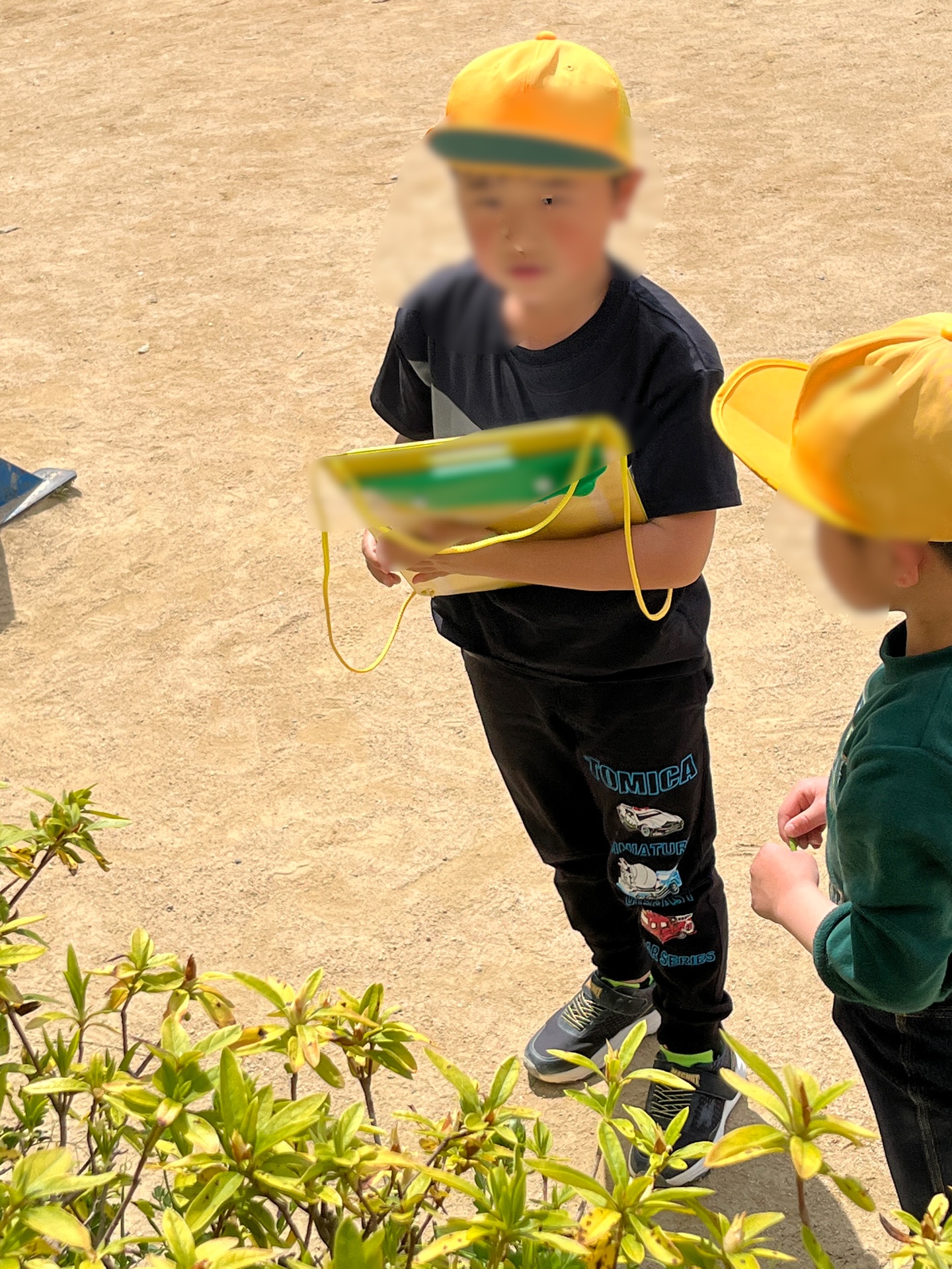 春みつけの学年もいます
