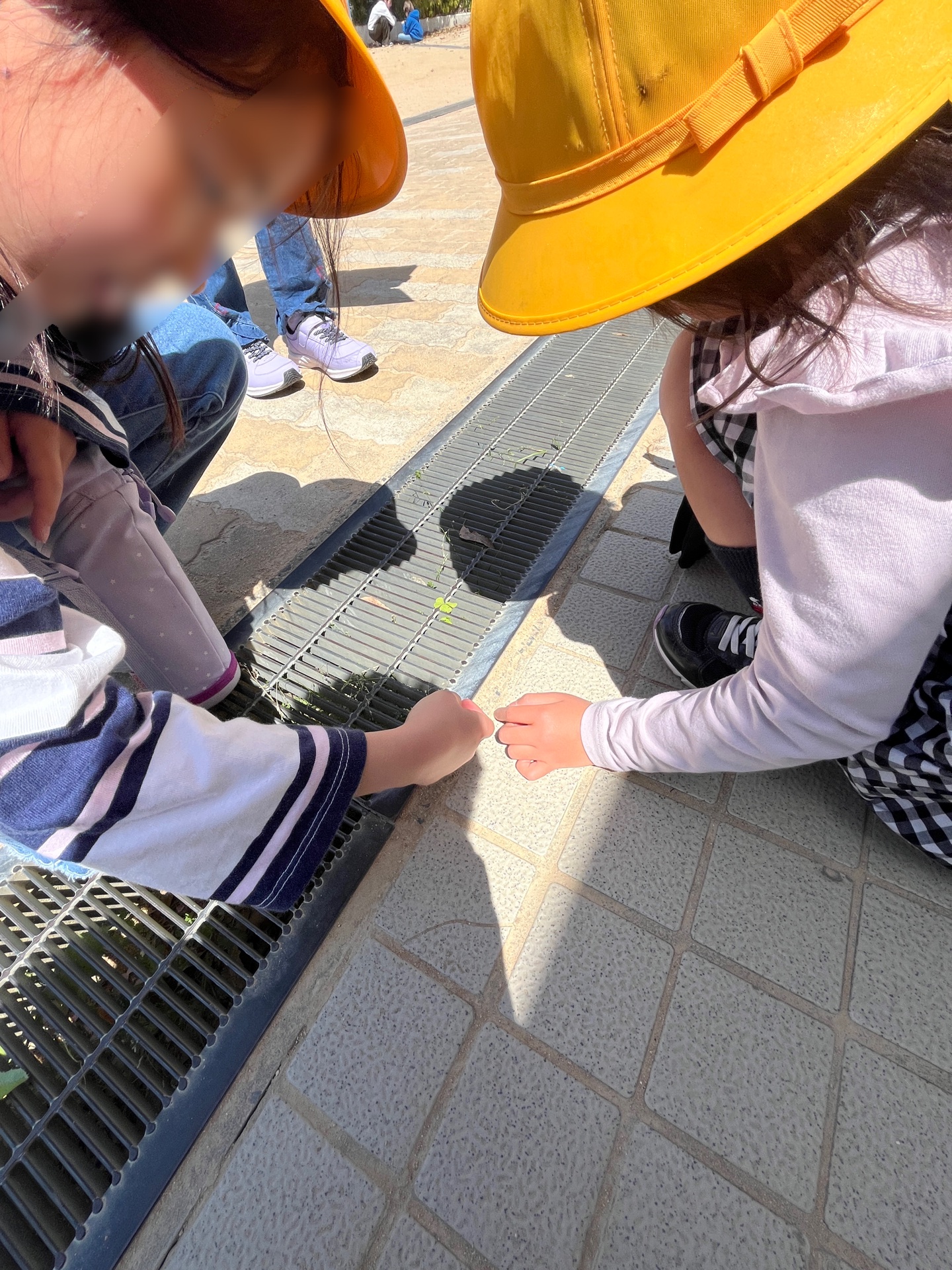 じっくりと観察中