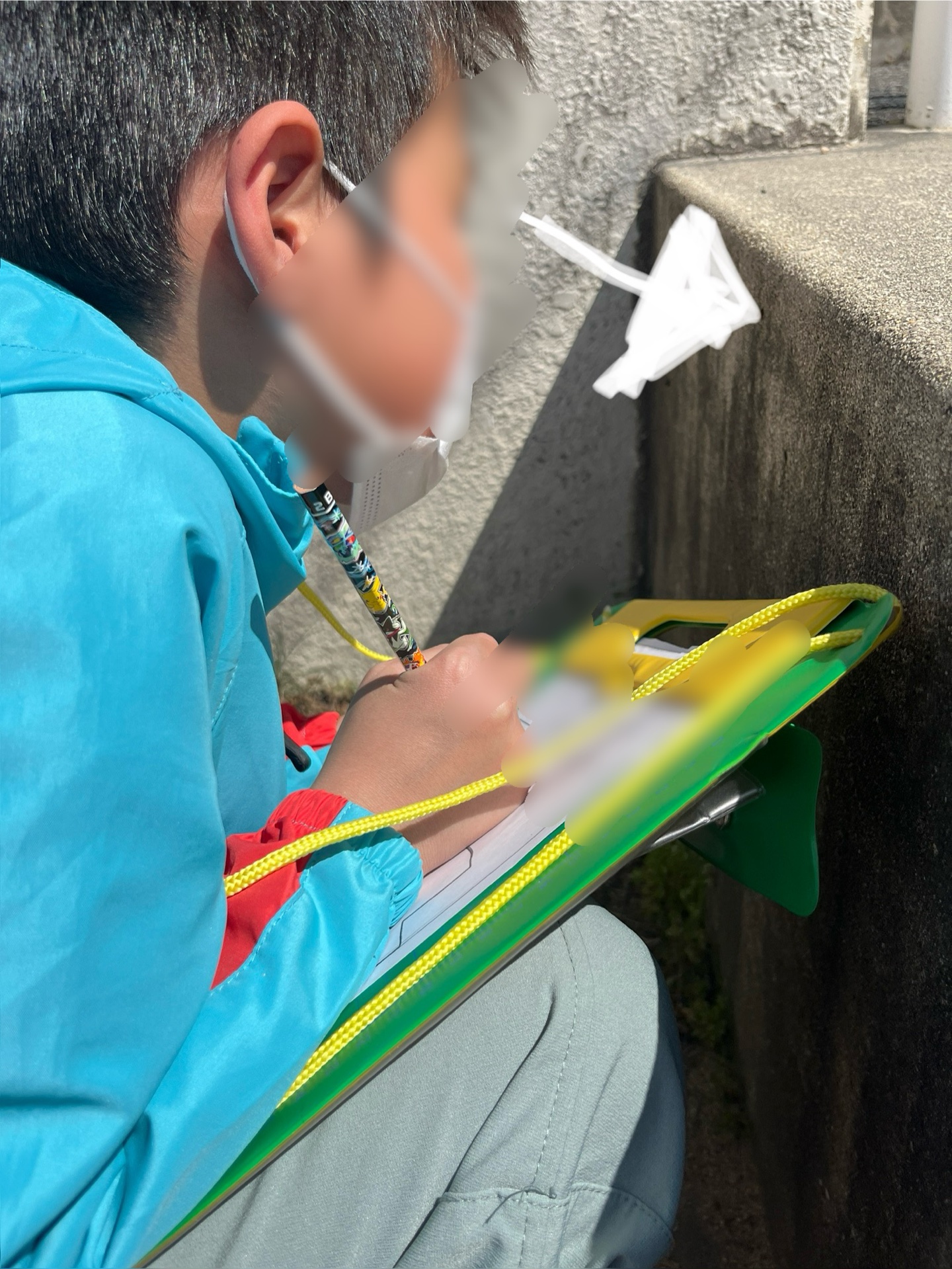 視線の先は、実は、てんとうむしの蛹