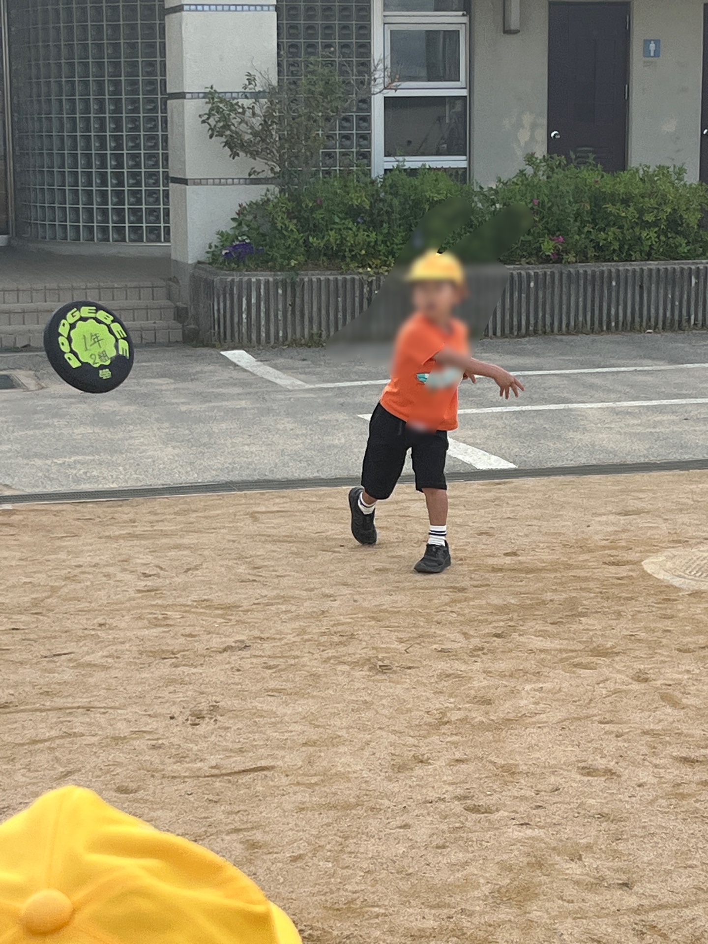 ドッジビーを楽しむ