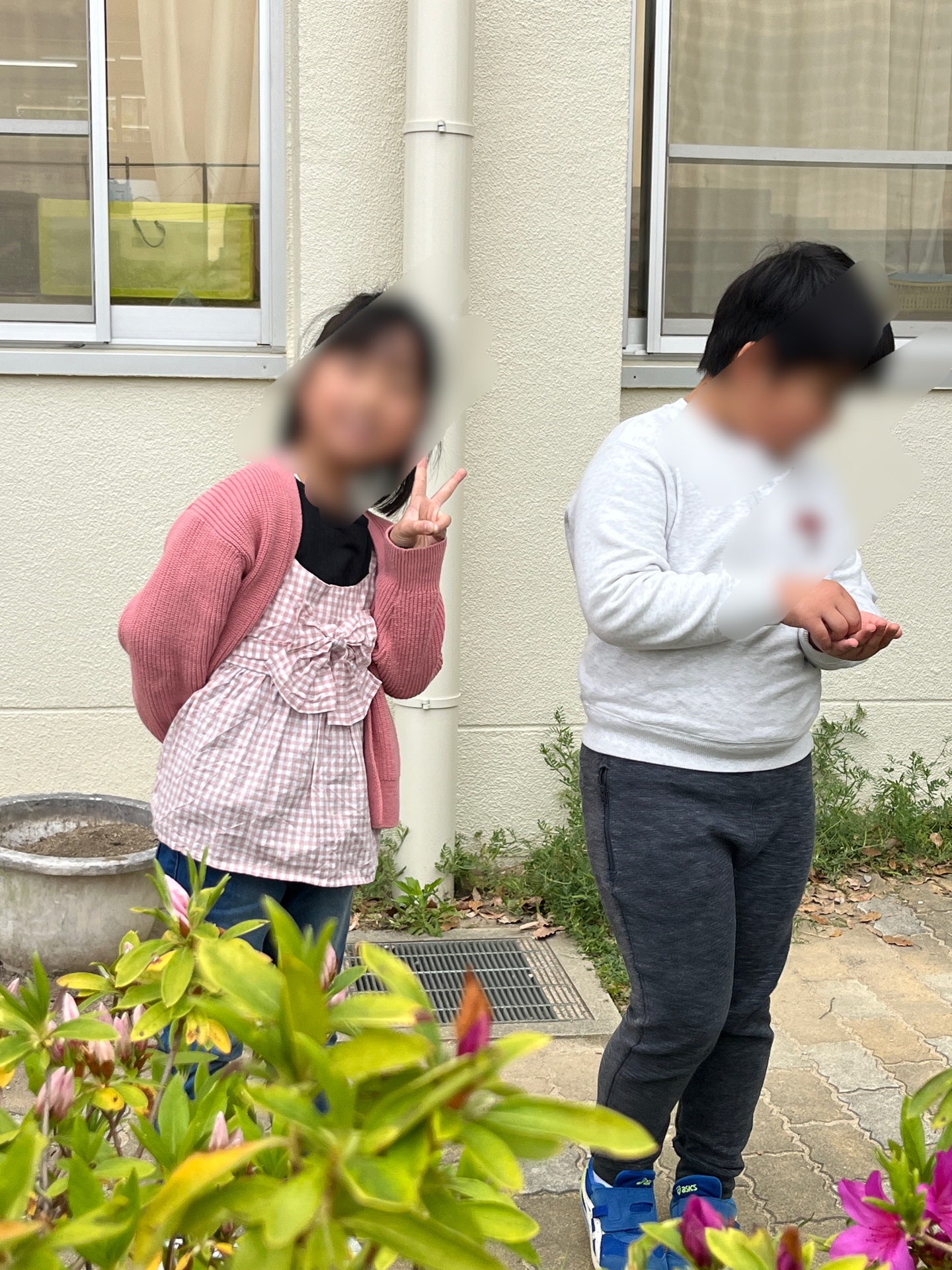 ピーピー豆を探して、探して、探してます