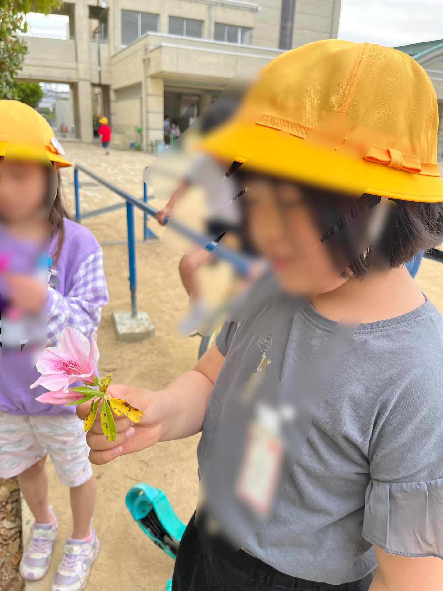 お花のきれいさを、まじまじと見つめる