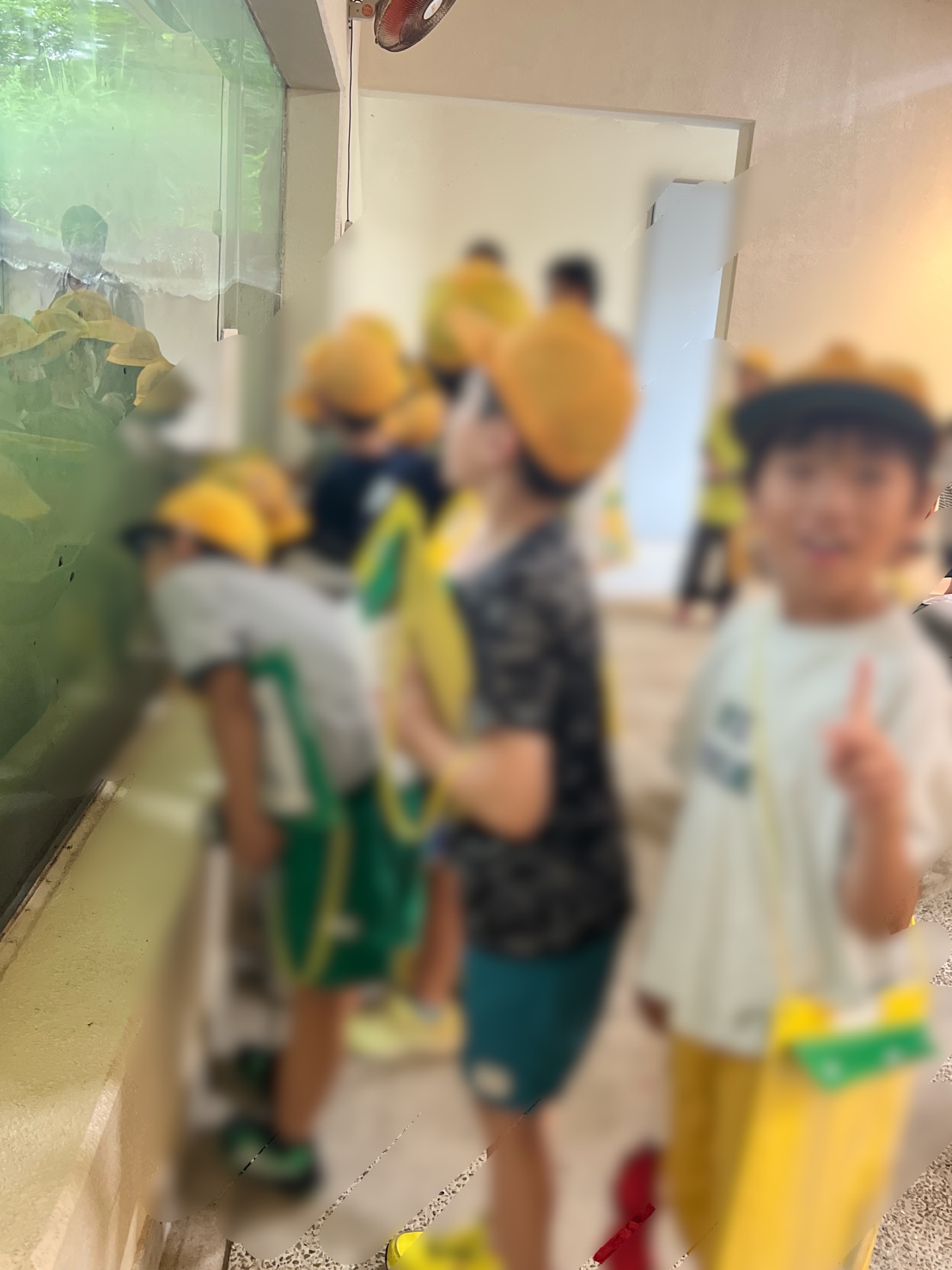 魚道の水族館にて