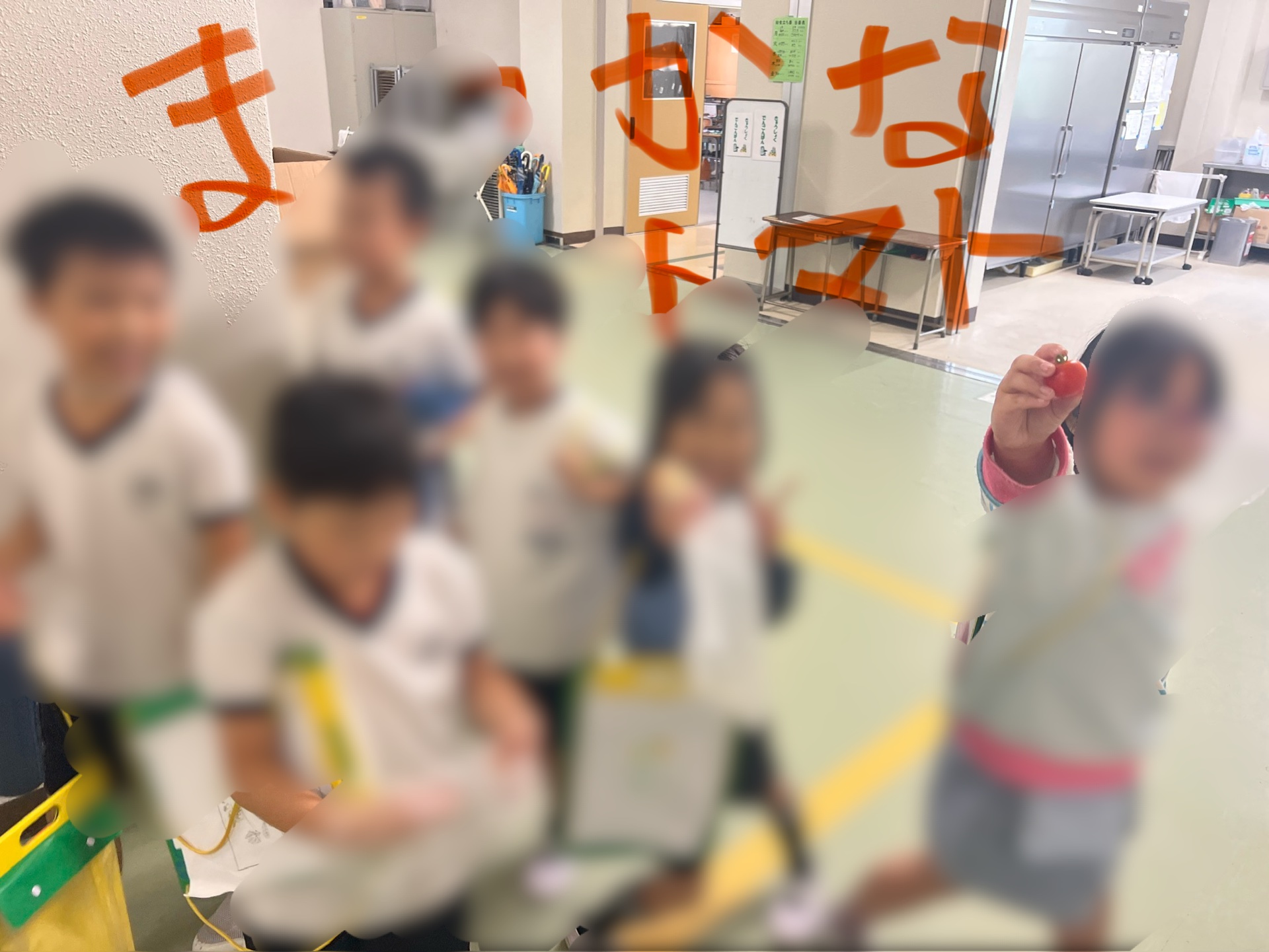 まっかかなトマト、おいしそう