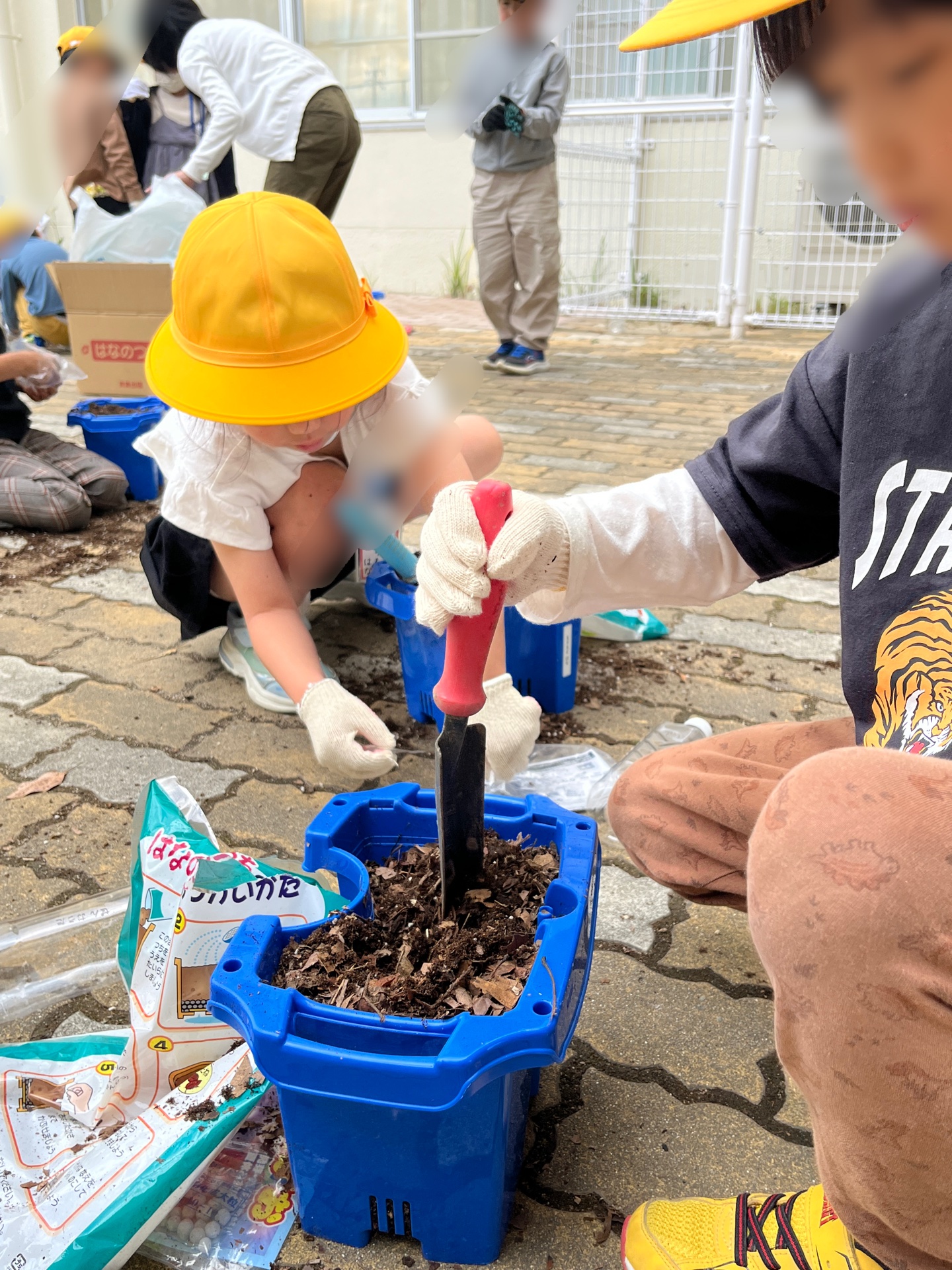 育てるのって楽しみ