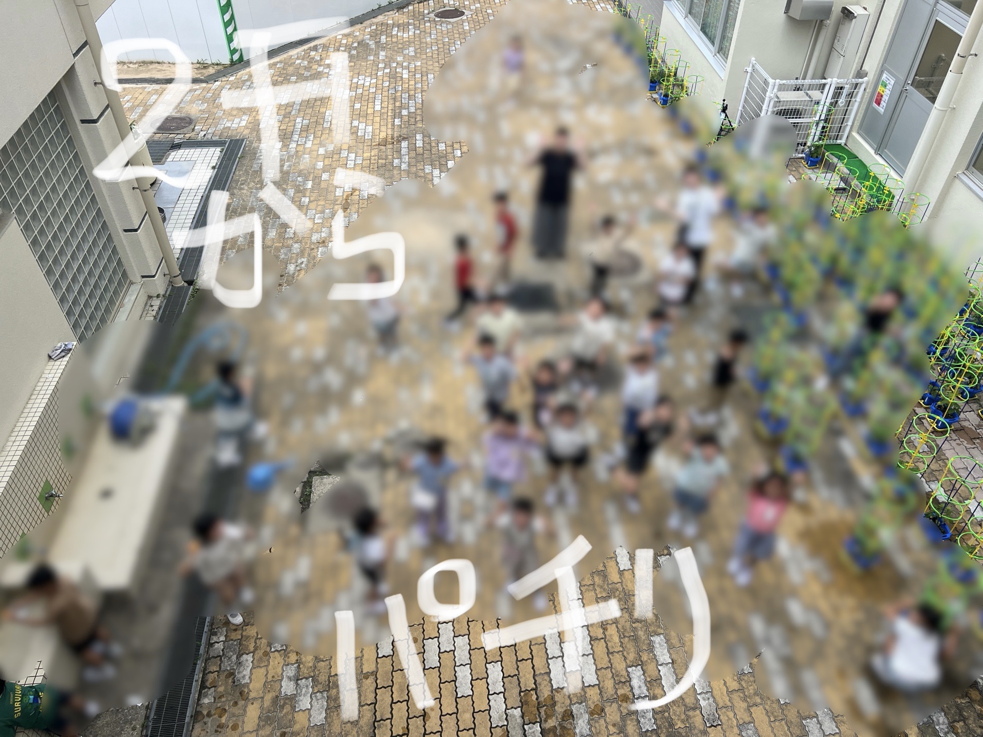 1年生の水やりシーン