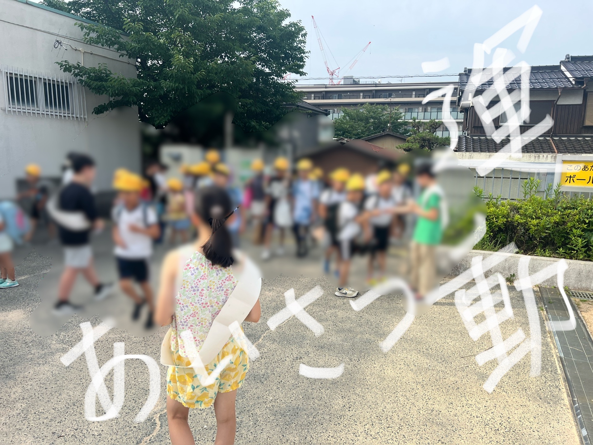元気な声が飛び交っています