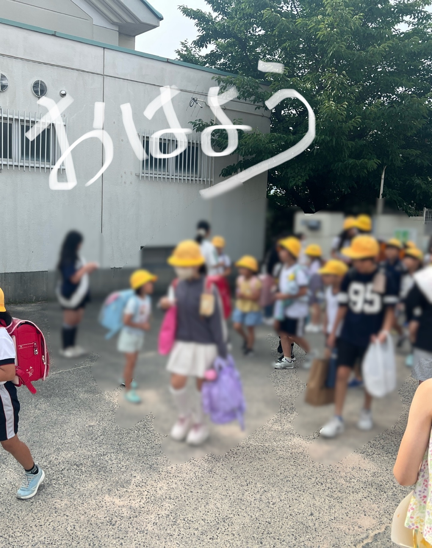 大きな声で、おはよう