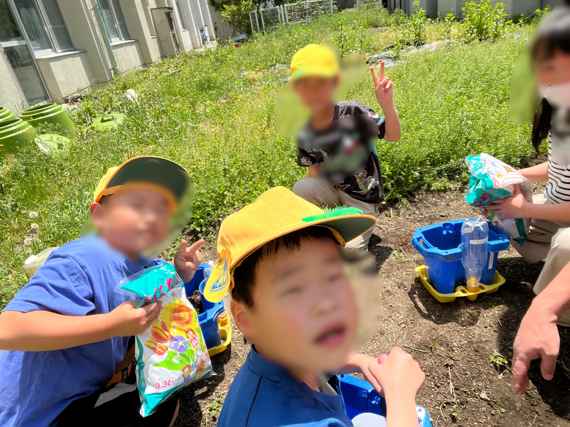 あまーいとまとになってね