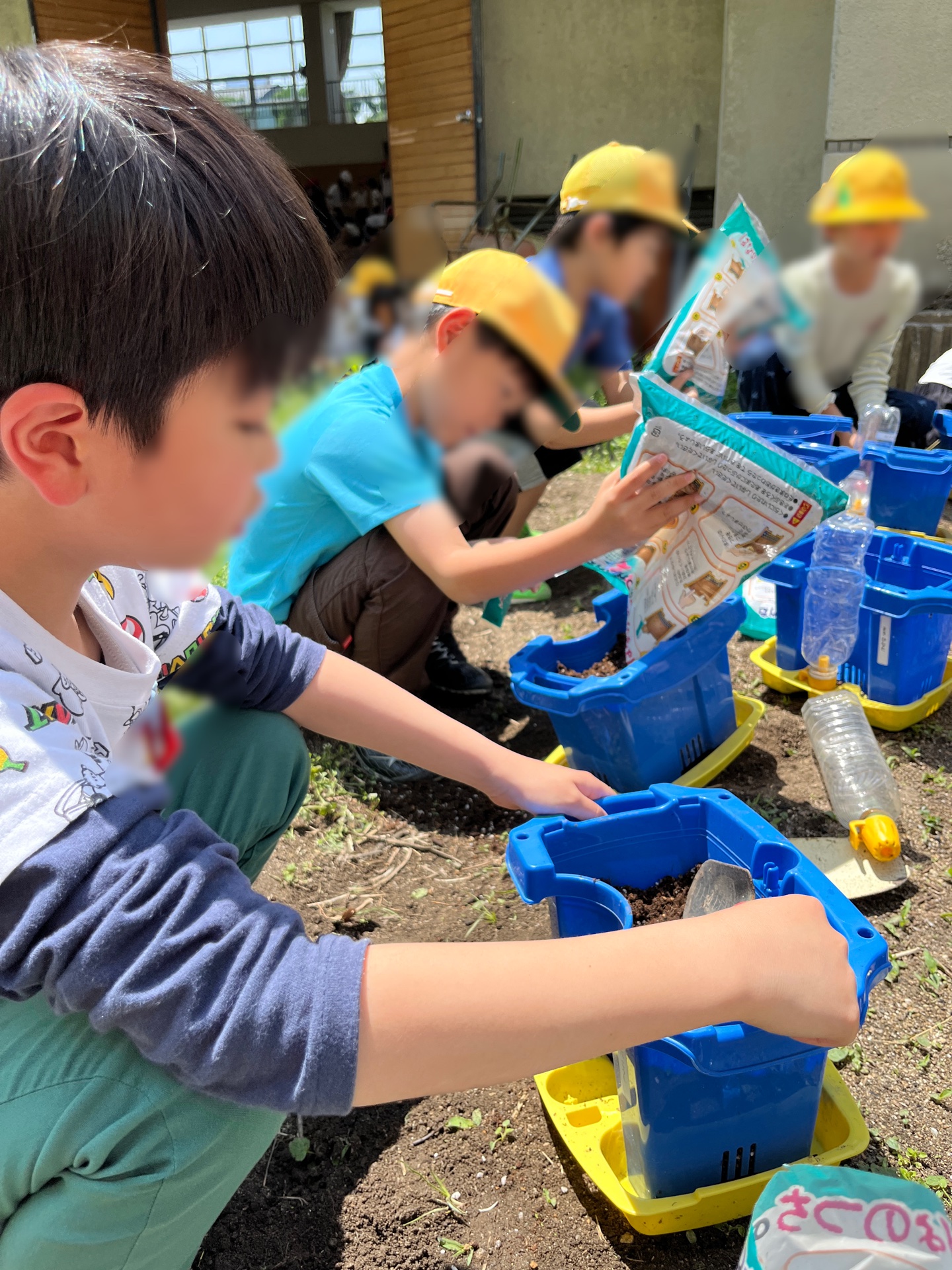 この体験でトマトが好きになってほしい