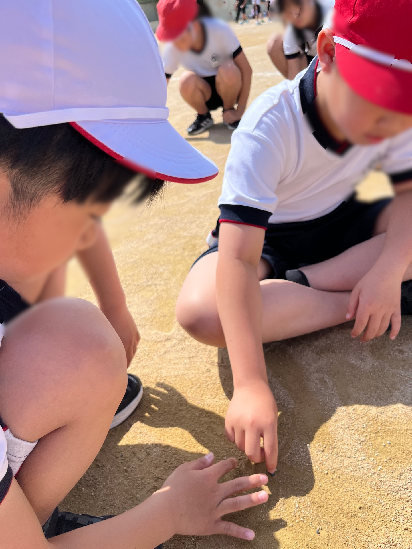 運動場の石拾いもしました