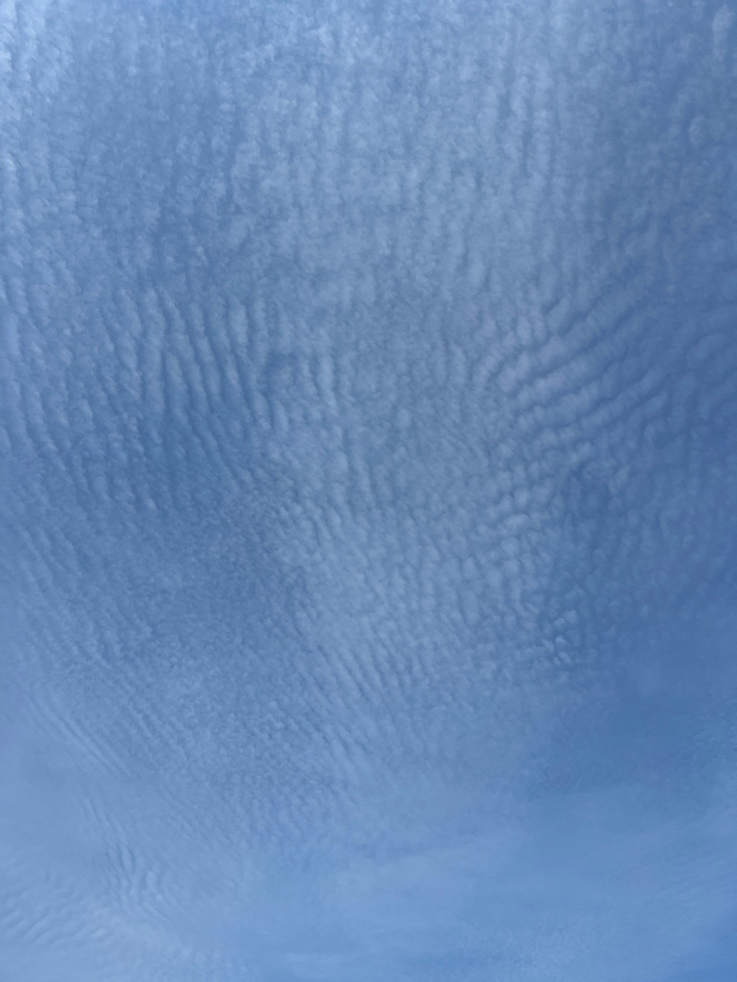 すがすがしい青空です