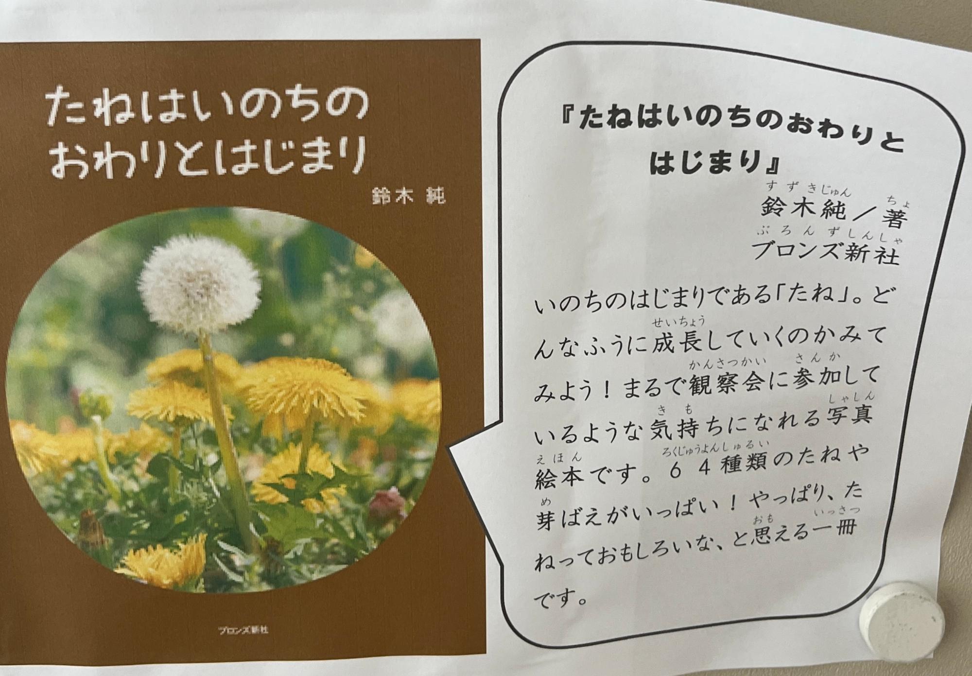 12年生向け4