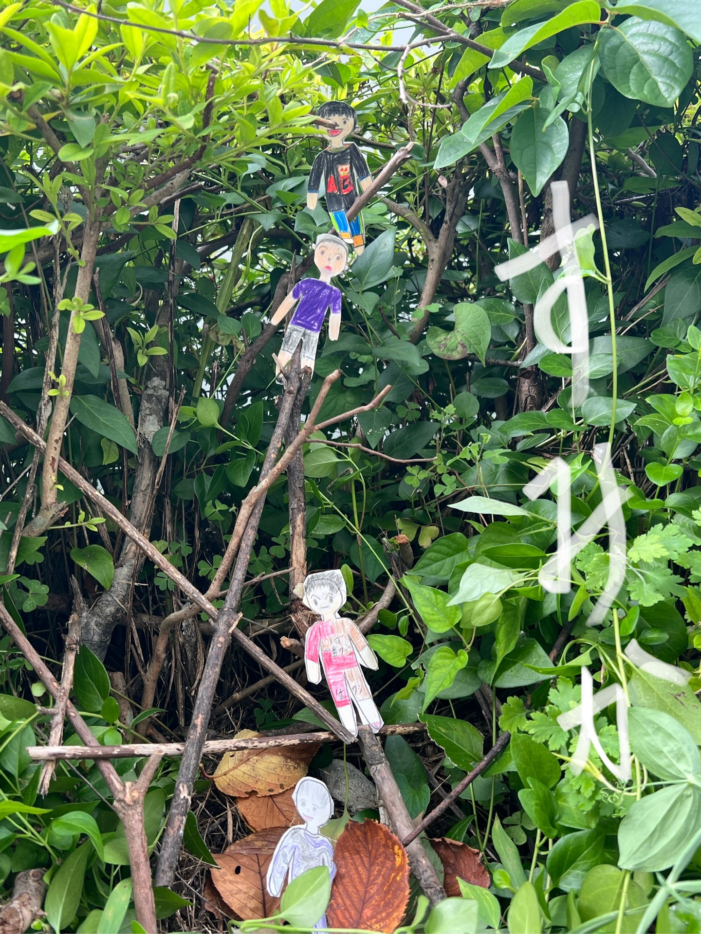 近づいてみると