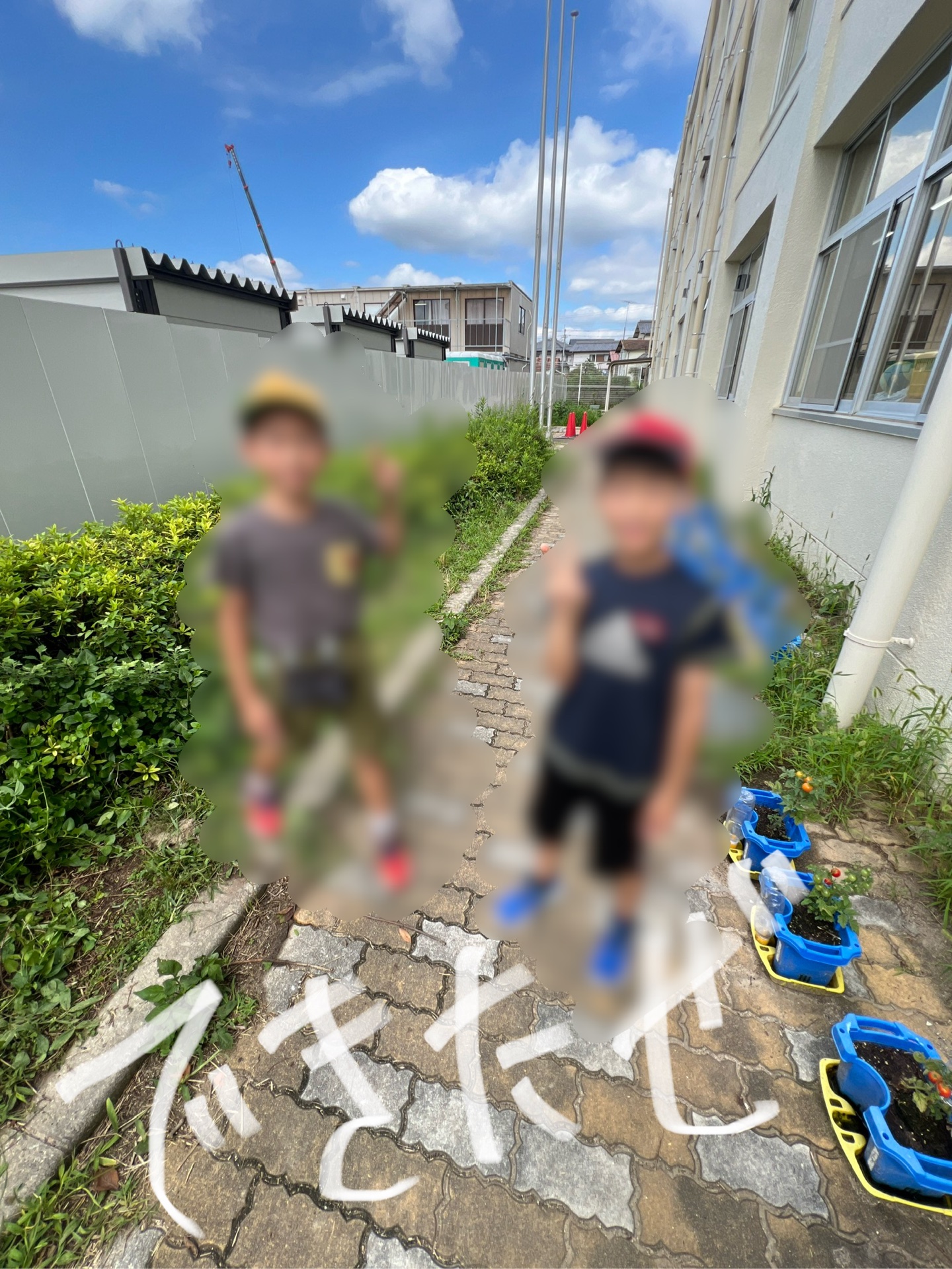できたぜ