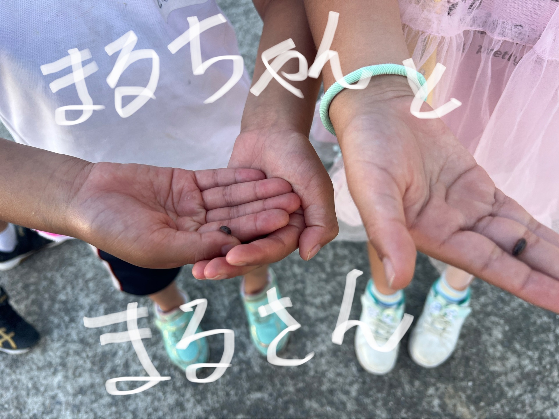 まるちゃんと、まるさん