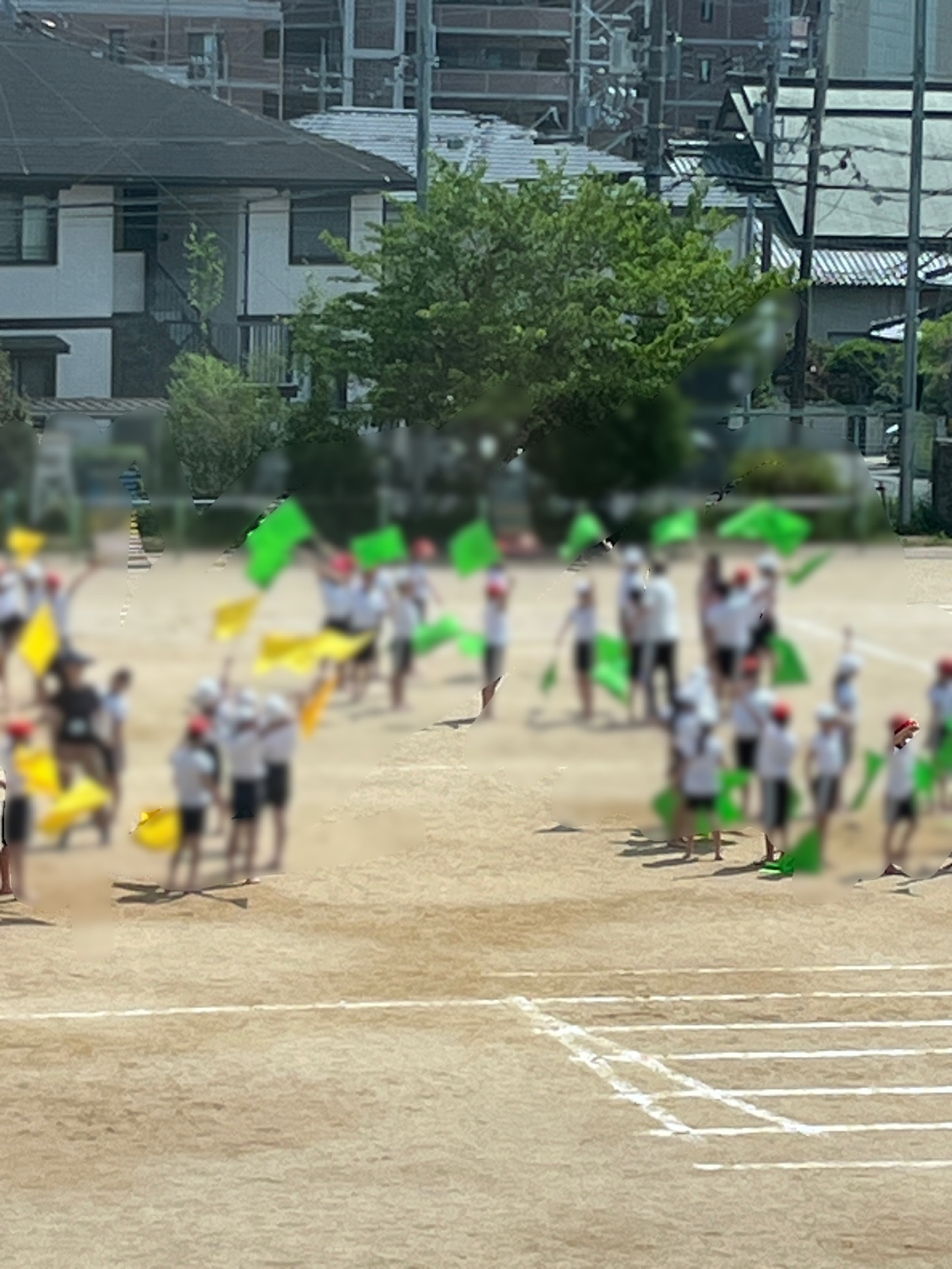 ちょっと遠目から見れました