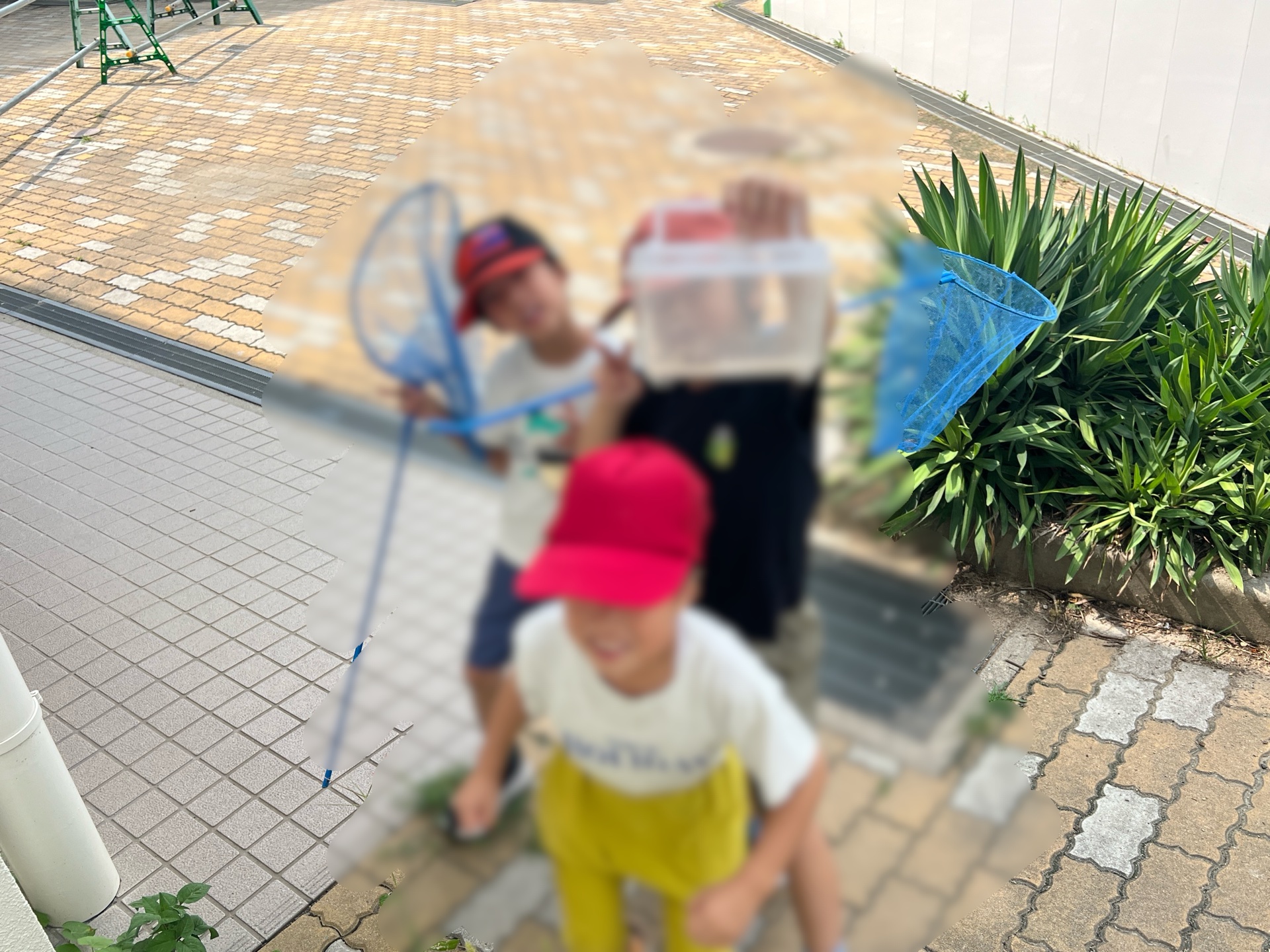 虫いるかなぁ