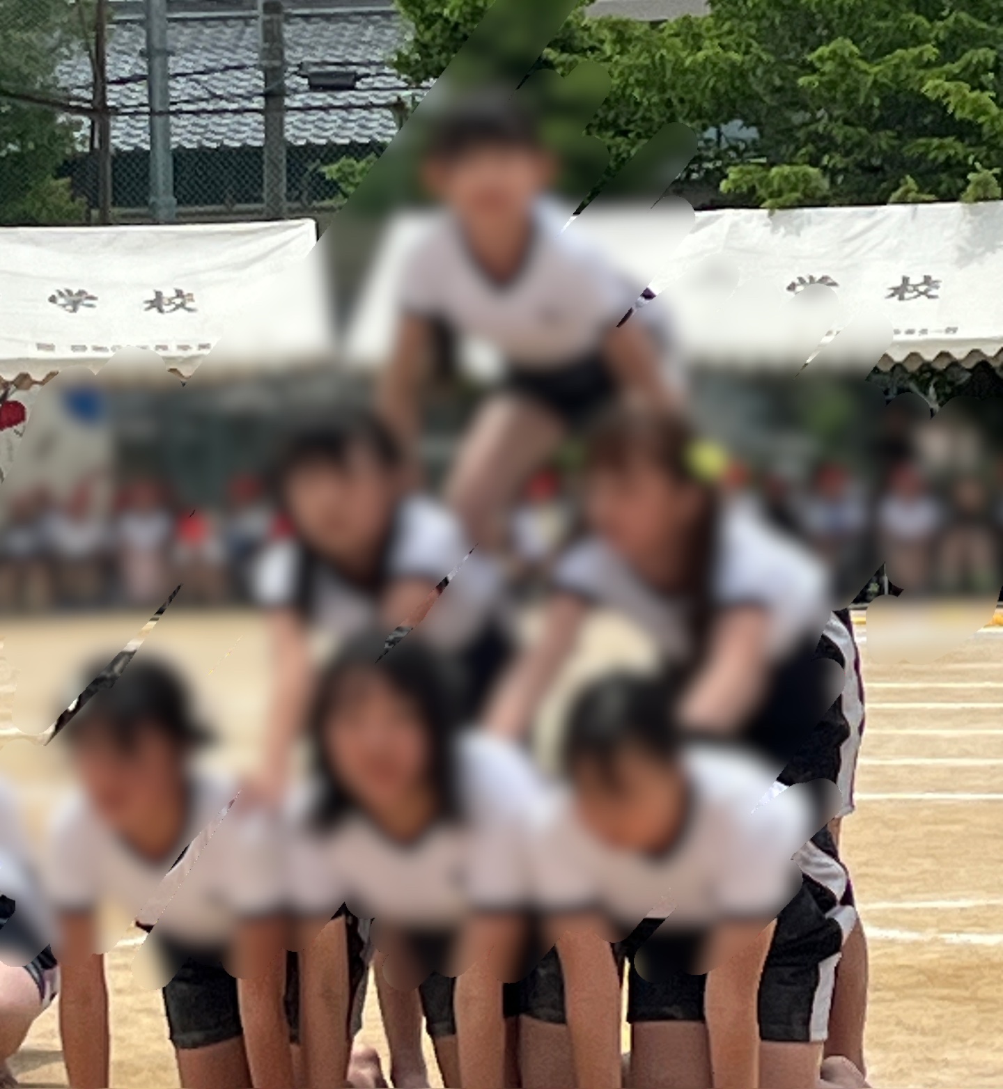 組み立てていく