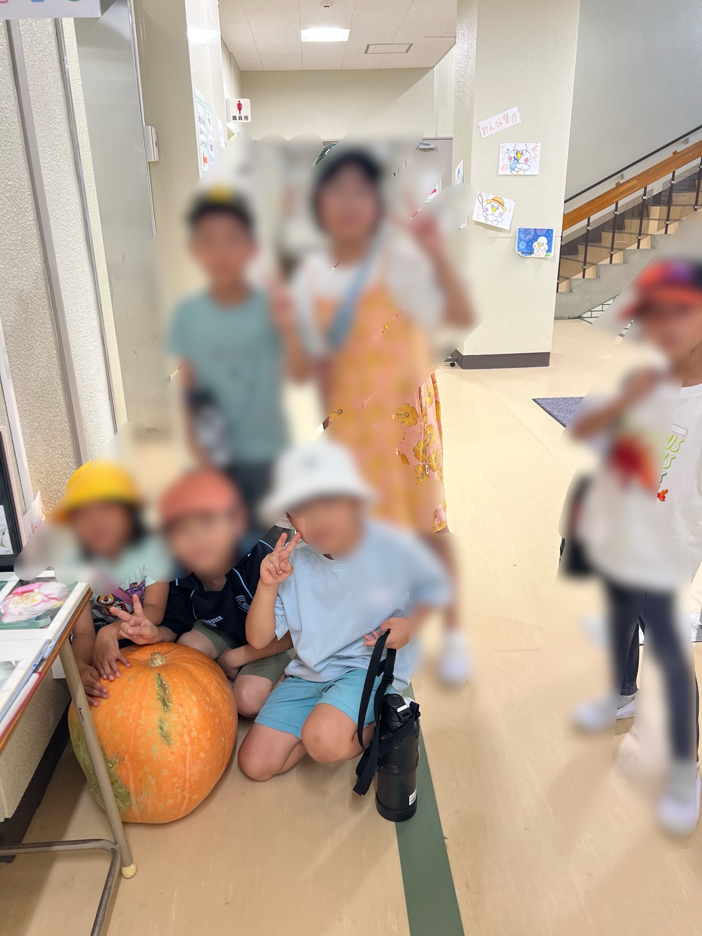 おっばけかぼちゃが届いたよう