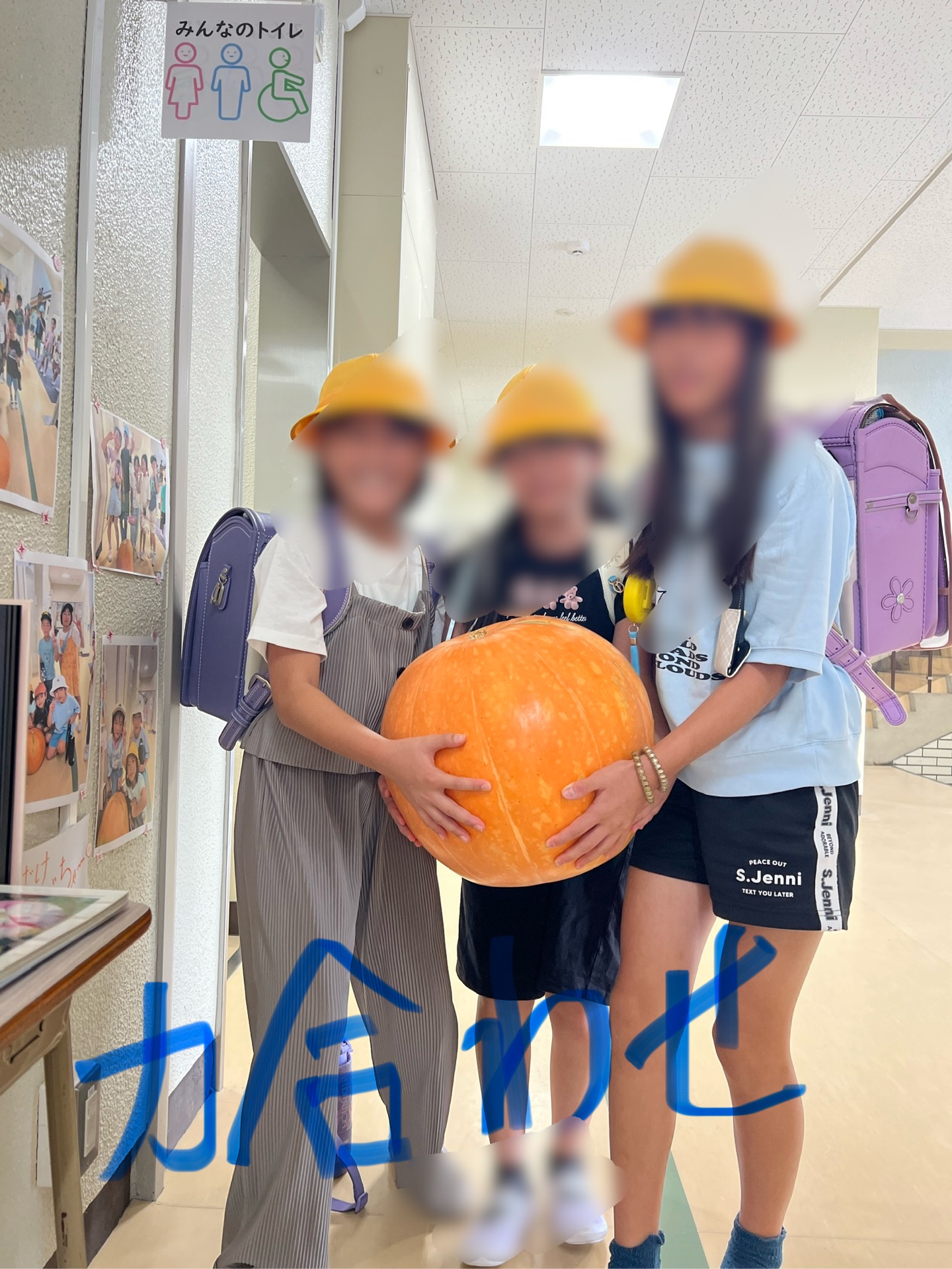 おばけかぼちゃを、力を合わせて持ち上げる