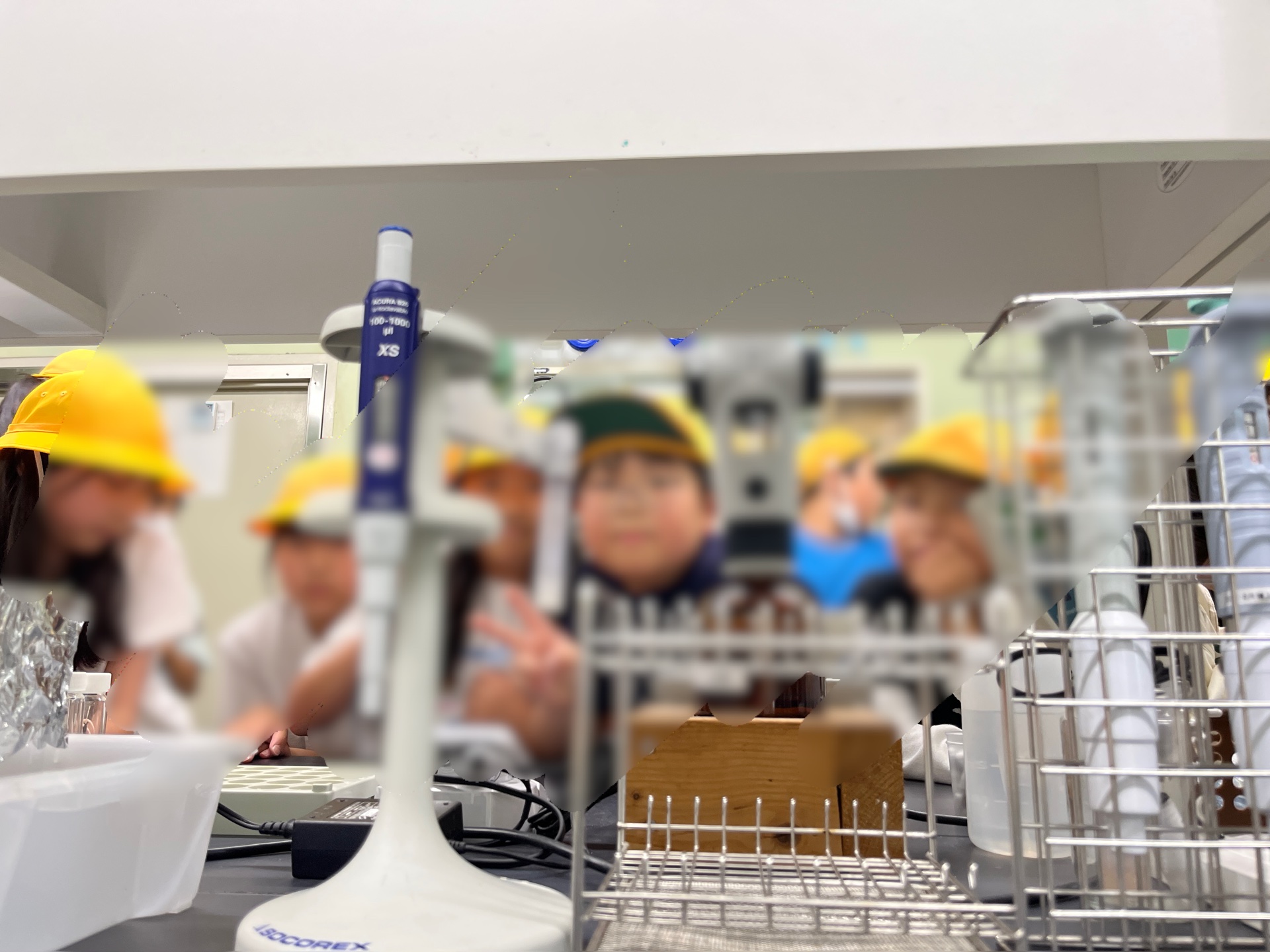 水の安全性を実験