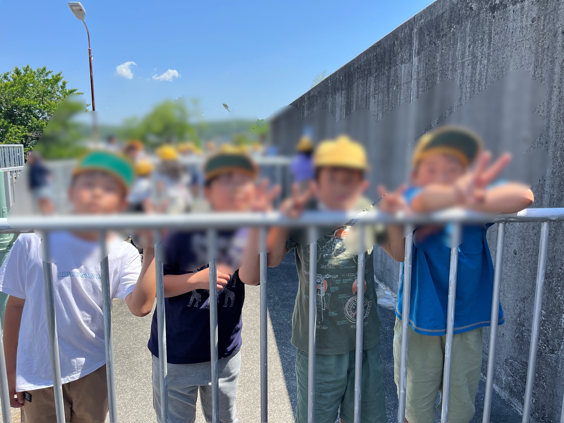 柵の下は、浄化水槽