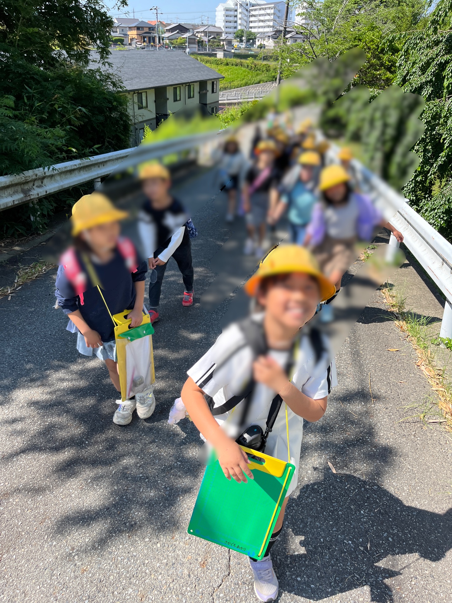 これは、浄水場までの坂道です