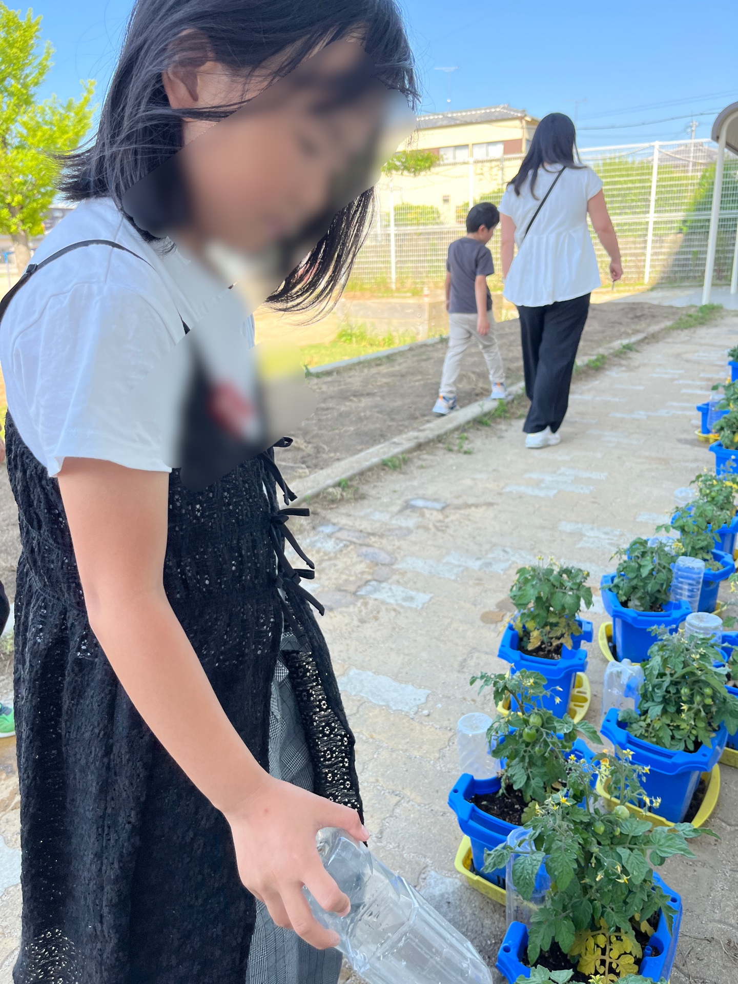 水やりが楽しい