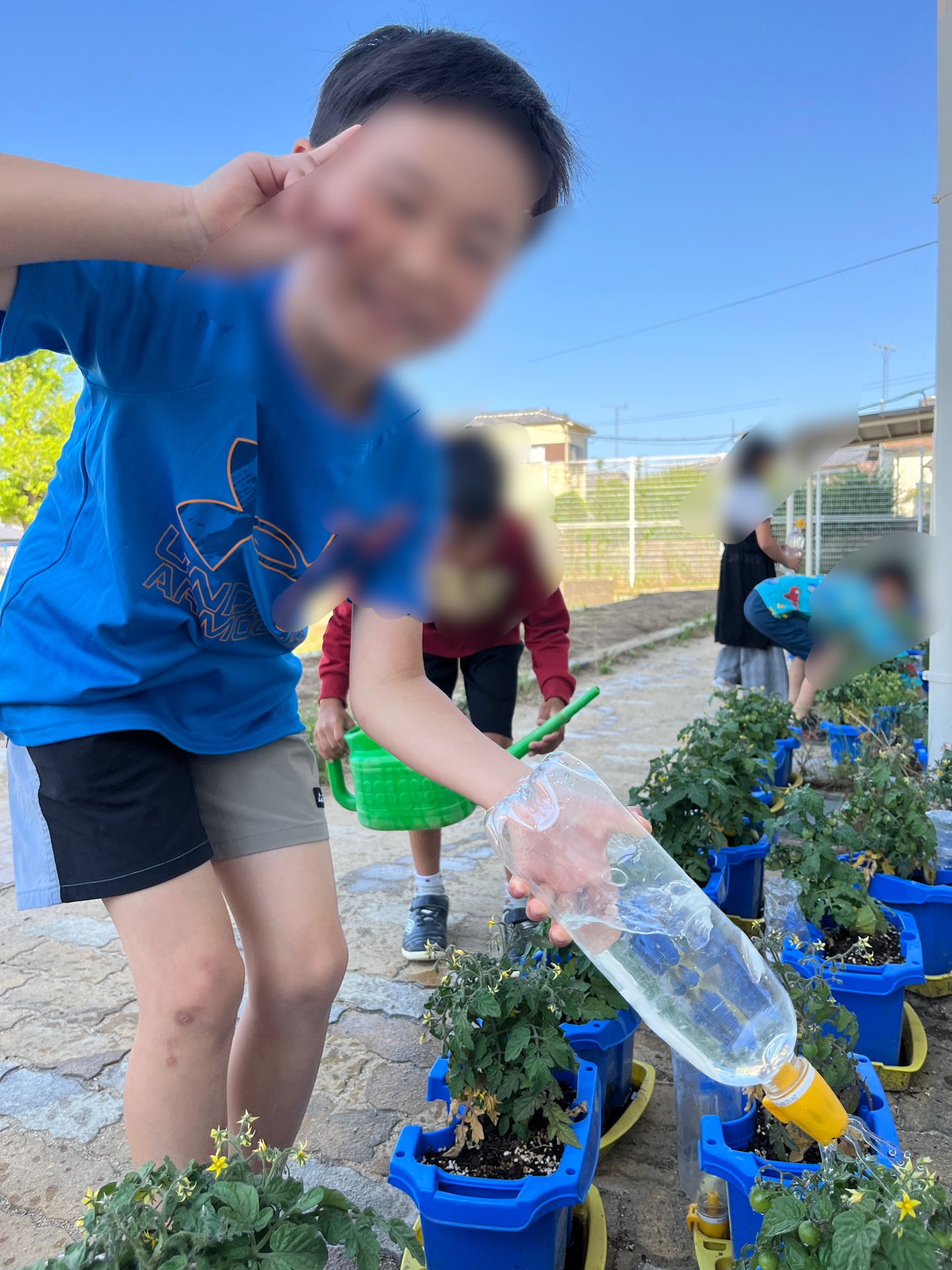 収穫は7月ごろって言っていました