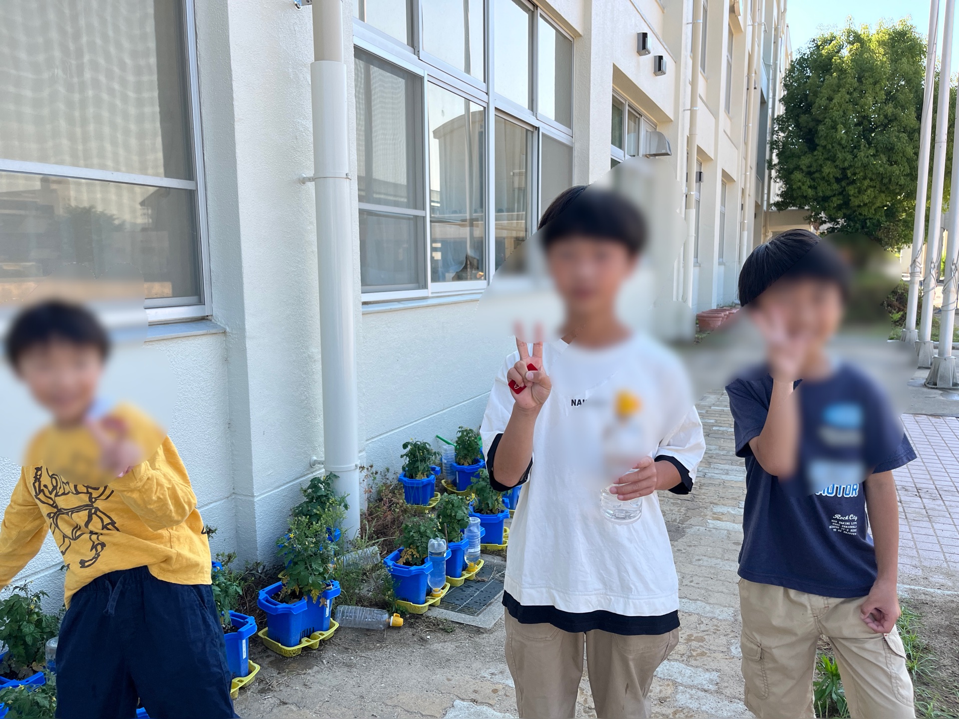 朝から、トマト談義で大盛り上がり