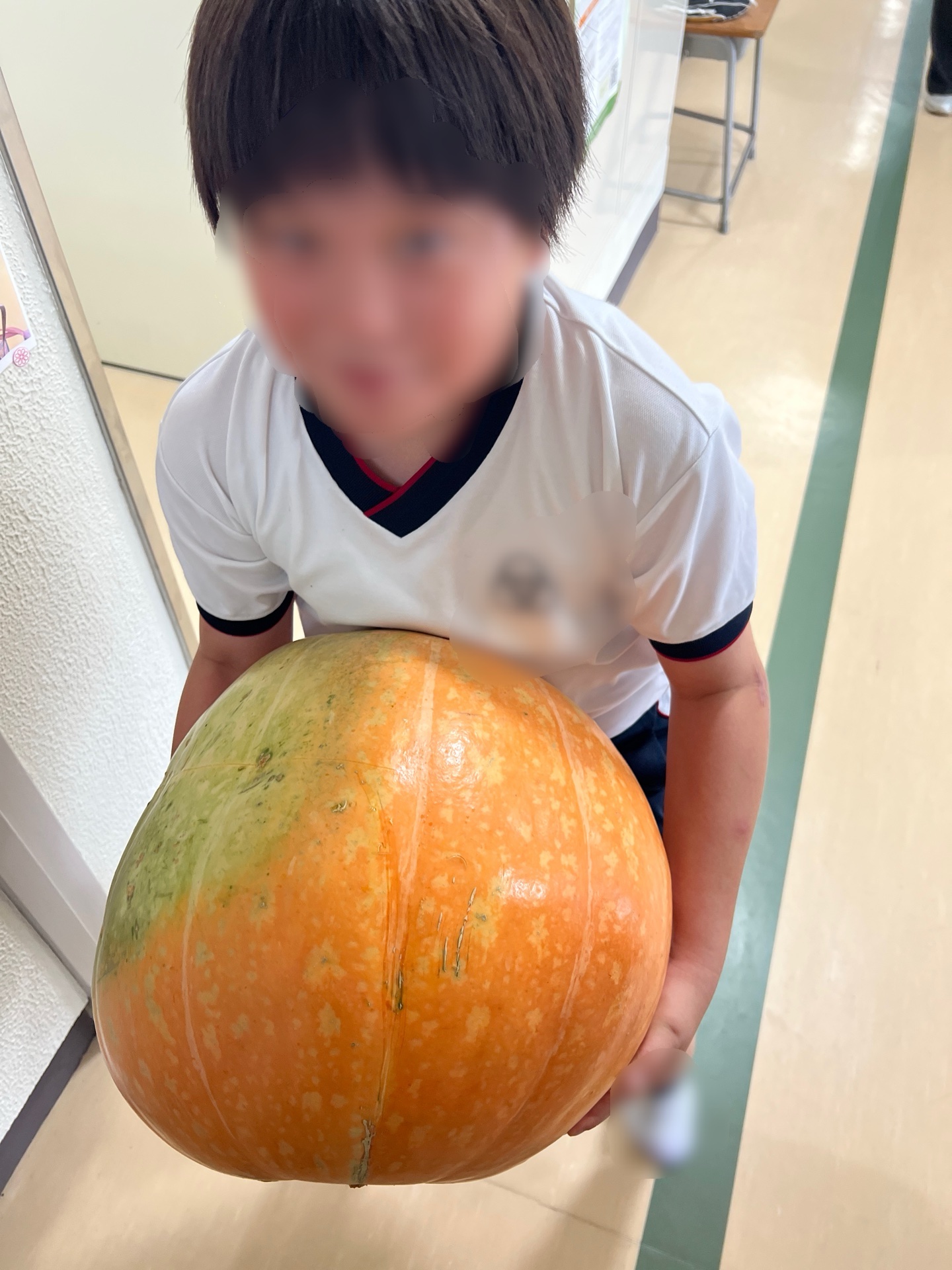 5ねんせいもどすこい、どすこい