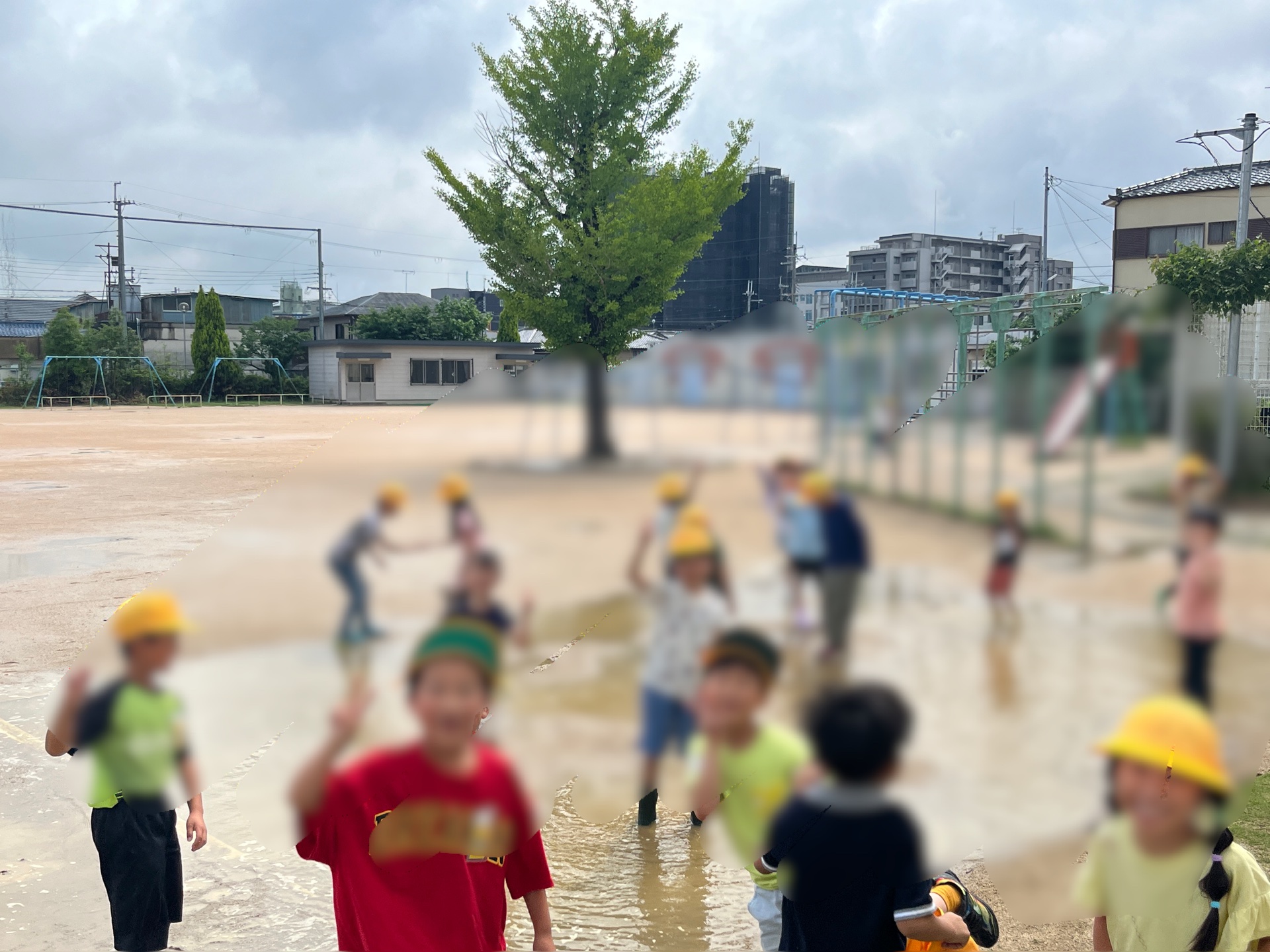 恐る恐る近づいて、笑顔