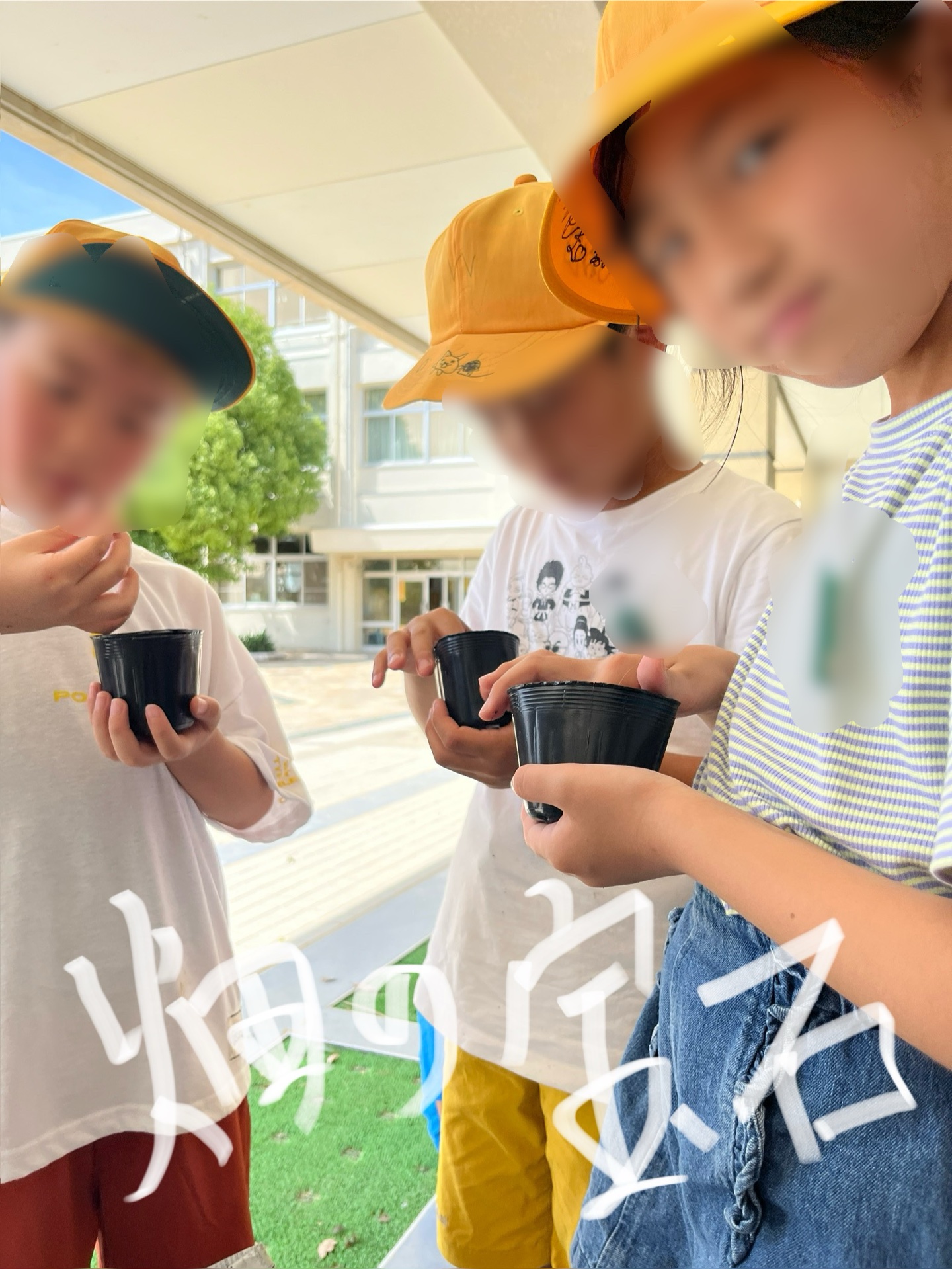 とんとんとんって、土をつめます