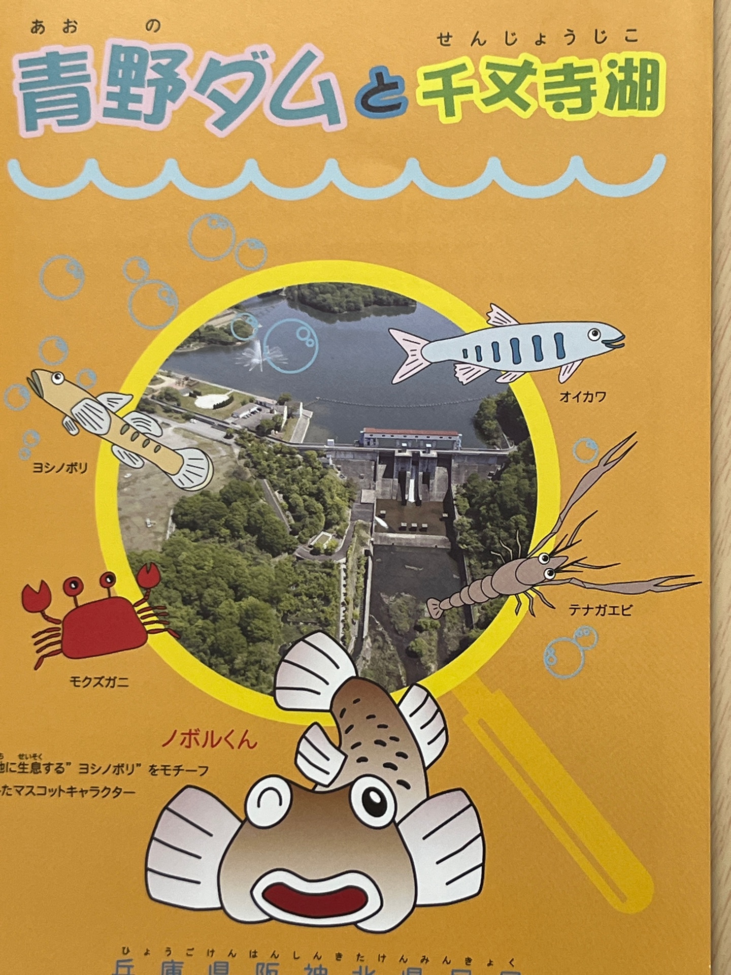 いただいたパンフ