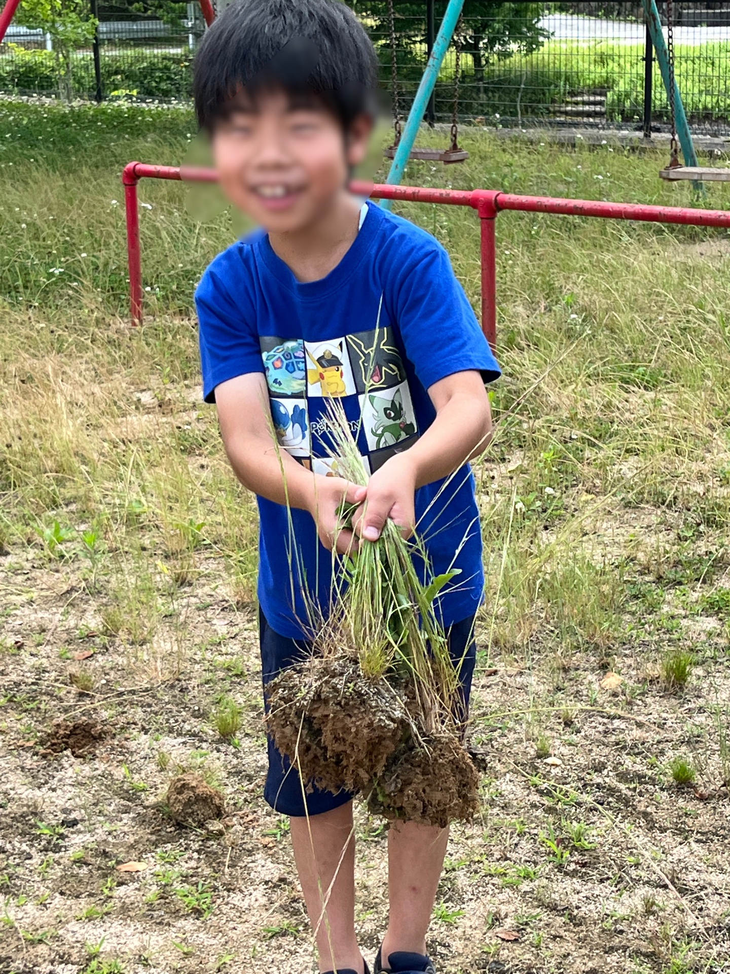 なぜか草を抜く三輪っ子