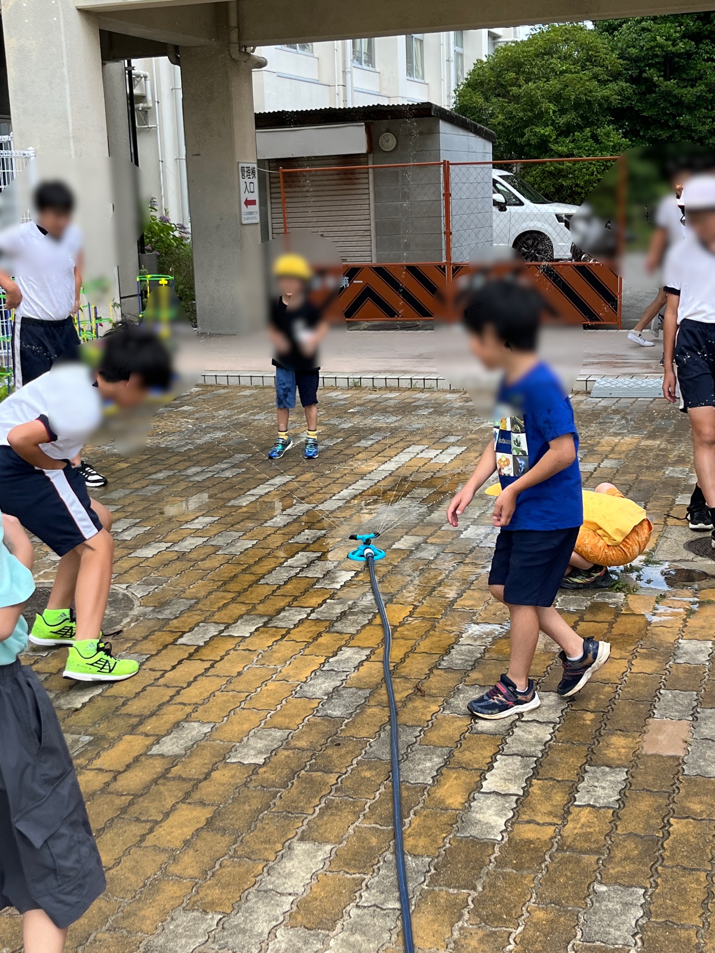 ちょっとした涼として、スプリンクラーをまわしました