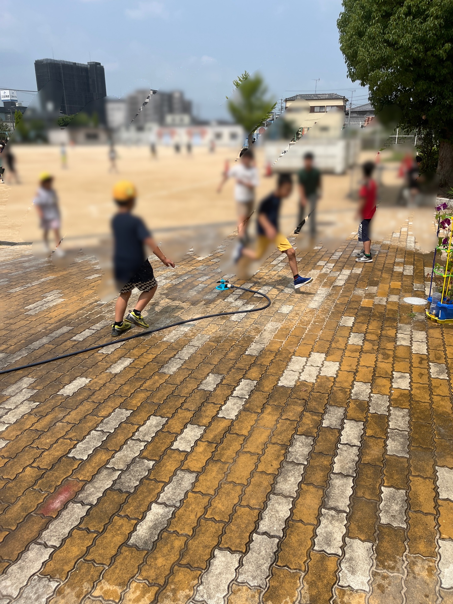 水がかかると嬉しい3