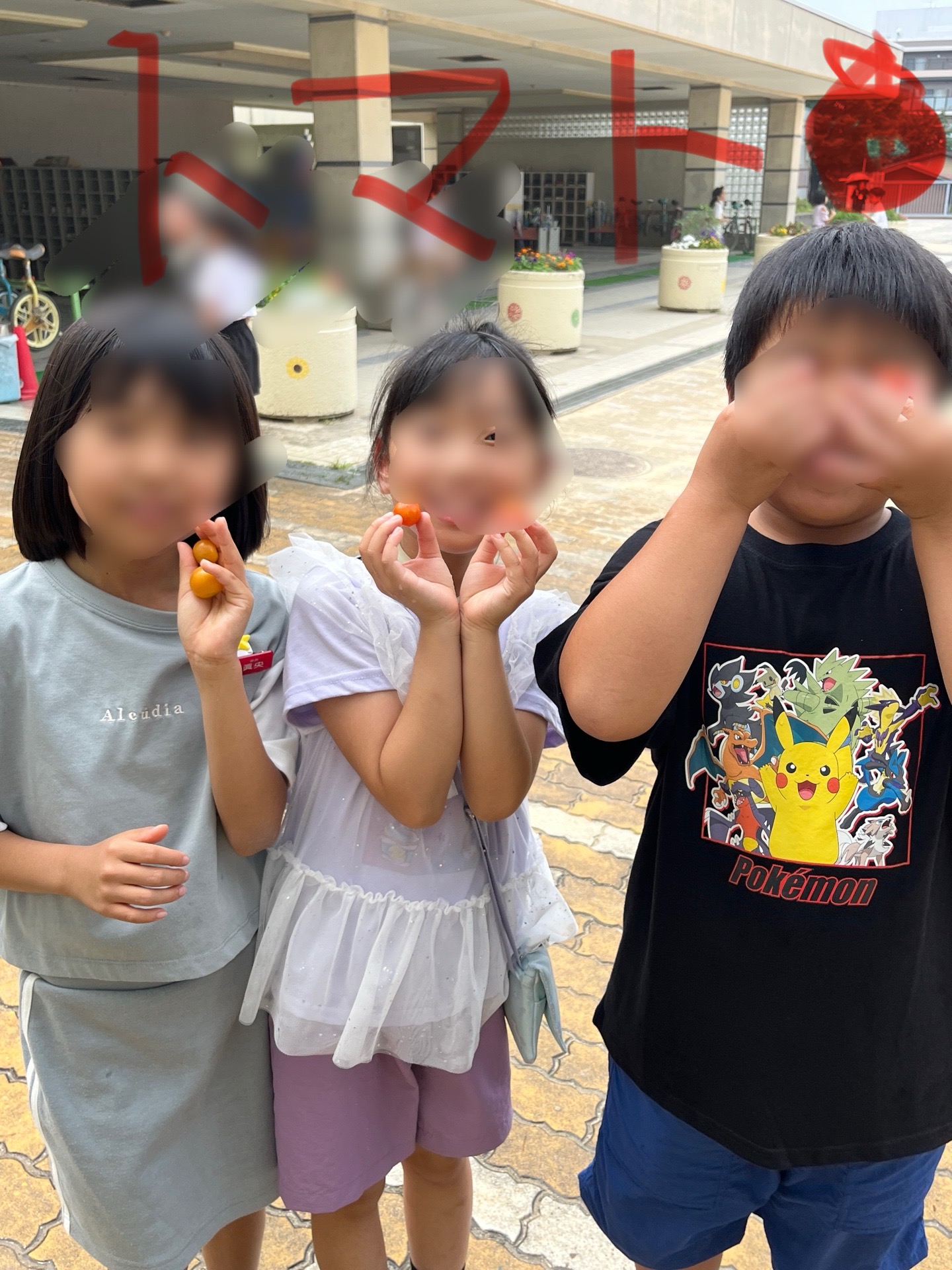 トマトがいっぱい、喜ぶ子かな