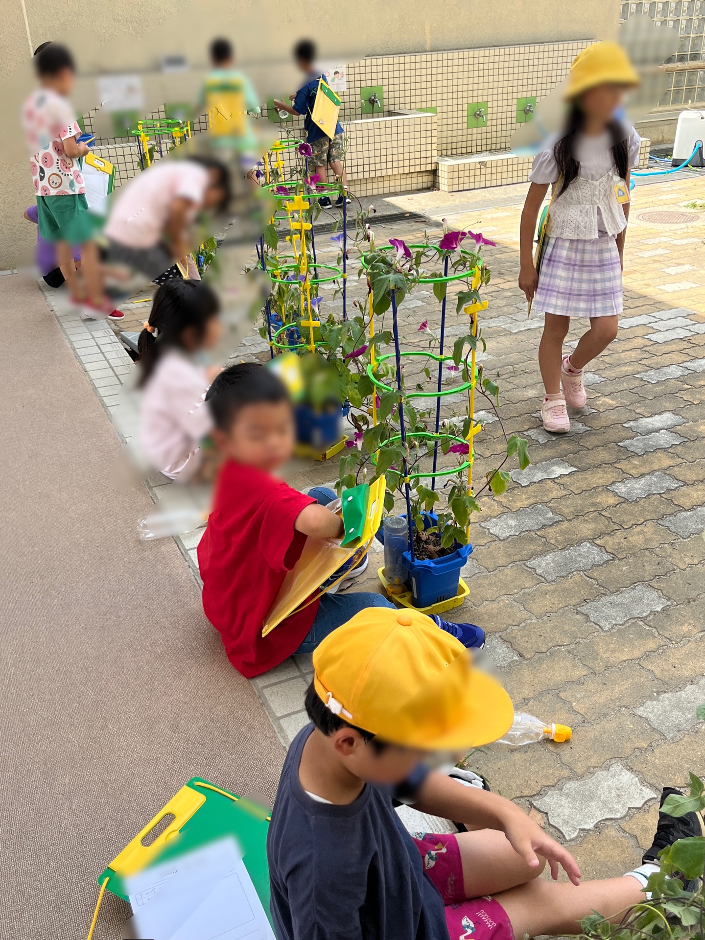 おみずをあげなくっちゃ