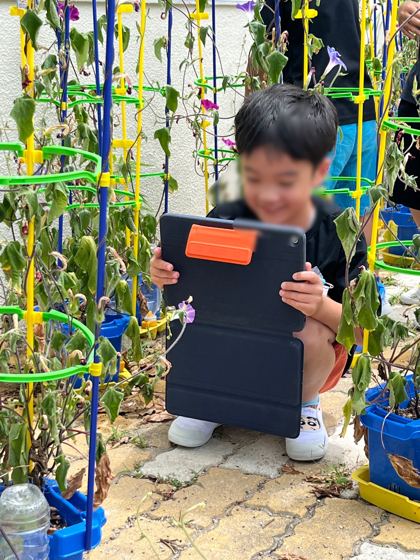 じっくり見てます