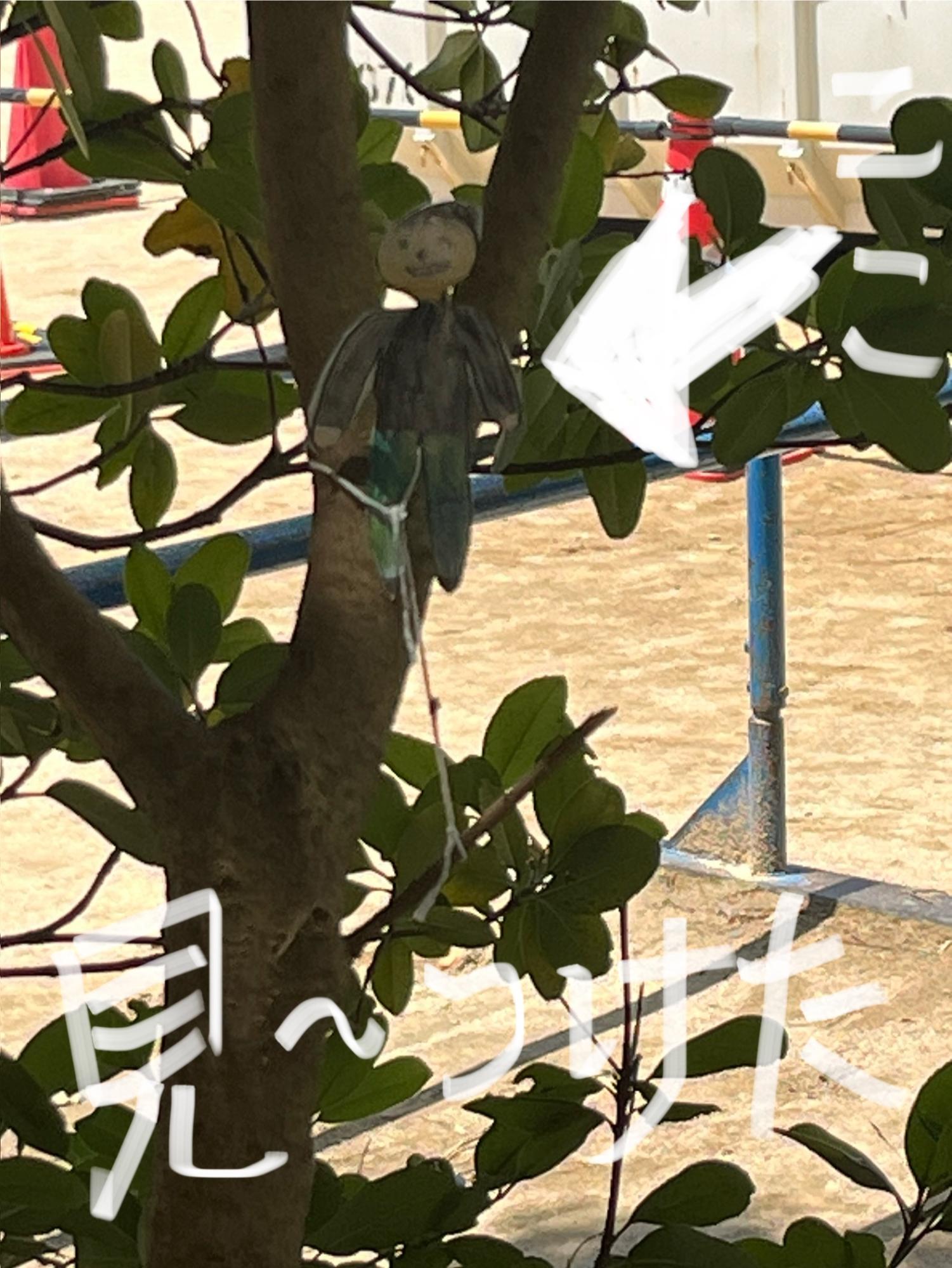 あれ、みぃーつけた