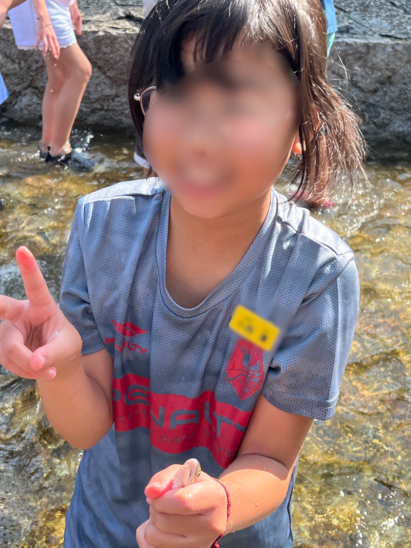 げっとだぜ